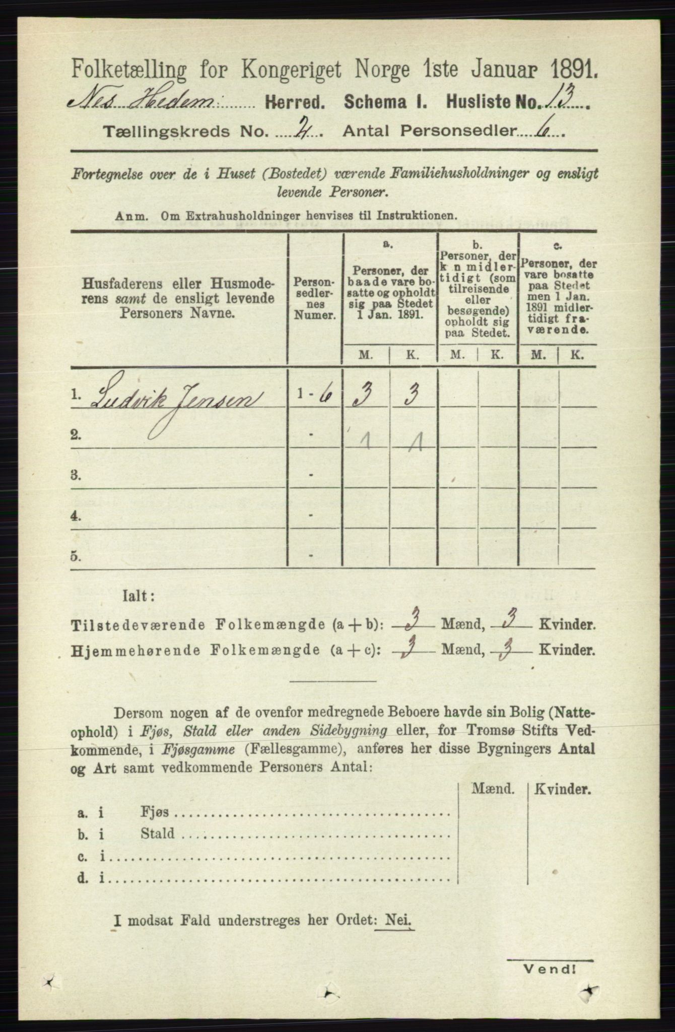 RA, 1891 census for 0411 Nes, 1891, p. 1016