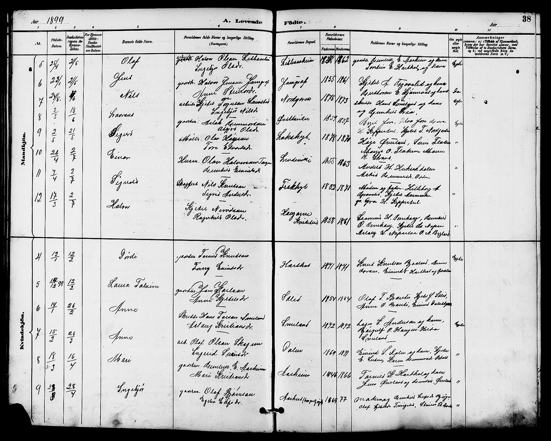 Seljord kirkebøker, AV/SAKO-A-20/G/Ga/L0005: Parish register (copy) no. I 5, 1887-1914, p. 38