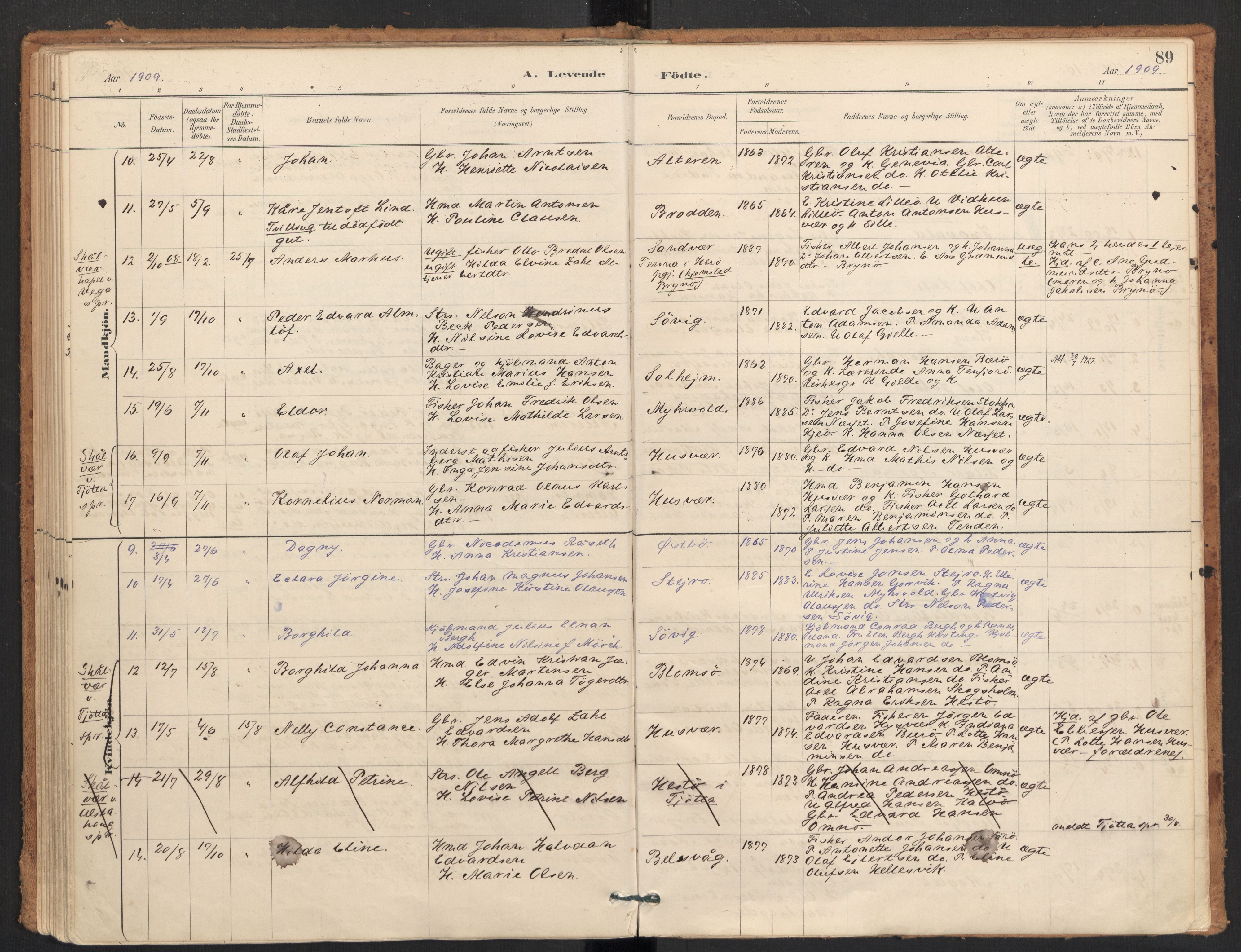 Ministerialprotokoller, klokkerbøker og fødselsregistre - Nordland, AV/SAT-A-1459/830/L0453: Parish register (official) no. 830A17, 1886-1911, p. 89