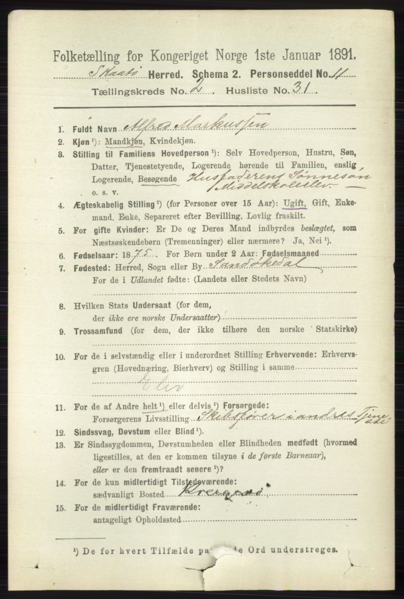 RA, 1891 census for 0815 Skåtøy, 1891, p. 597