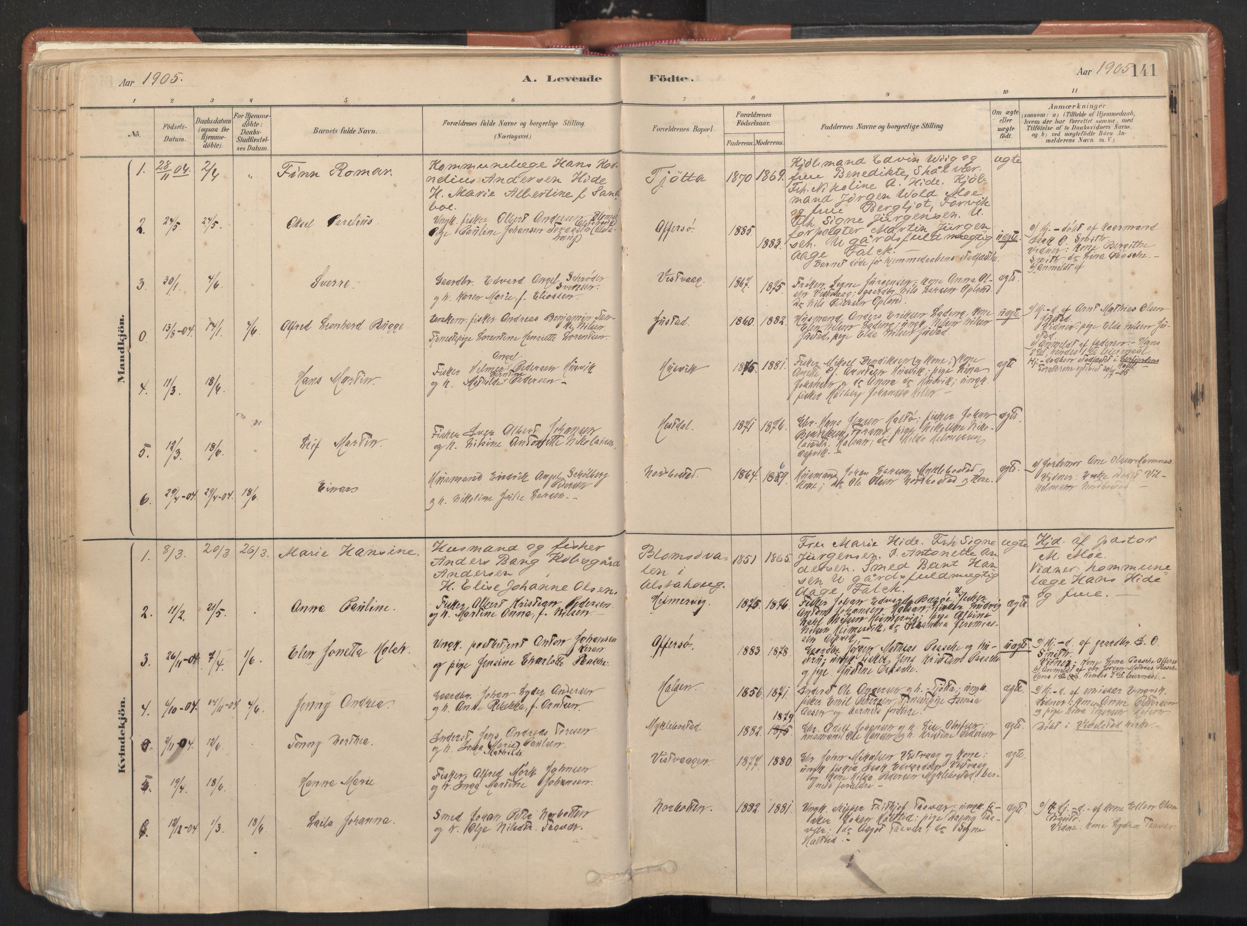 Ministerialprotokoller, klokkerbøker og fødselsregistre - Nordland, SAT/A-1459/817/L0264: Parish register (official) no. 817A04, 1878-1907, p. 141