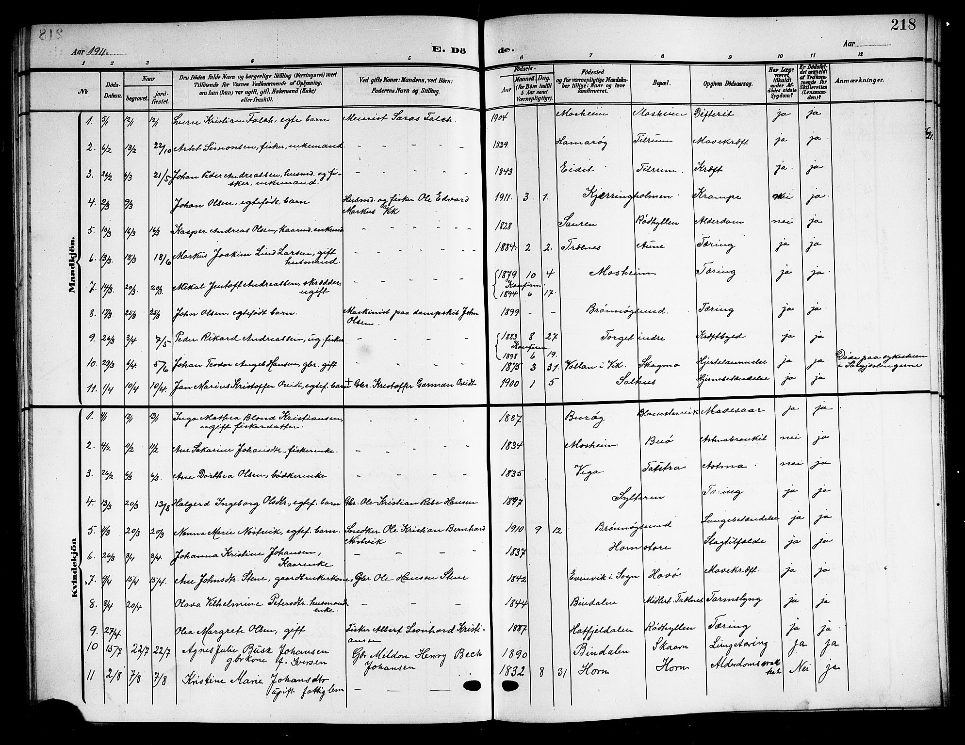 Ministerialprotokoller, klokkerbøker og fødselsregistre - Nordland, SAT/A-1459/813/L0214: Parish register (copy) no. 813C06, 1904-1917, p. 218