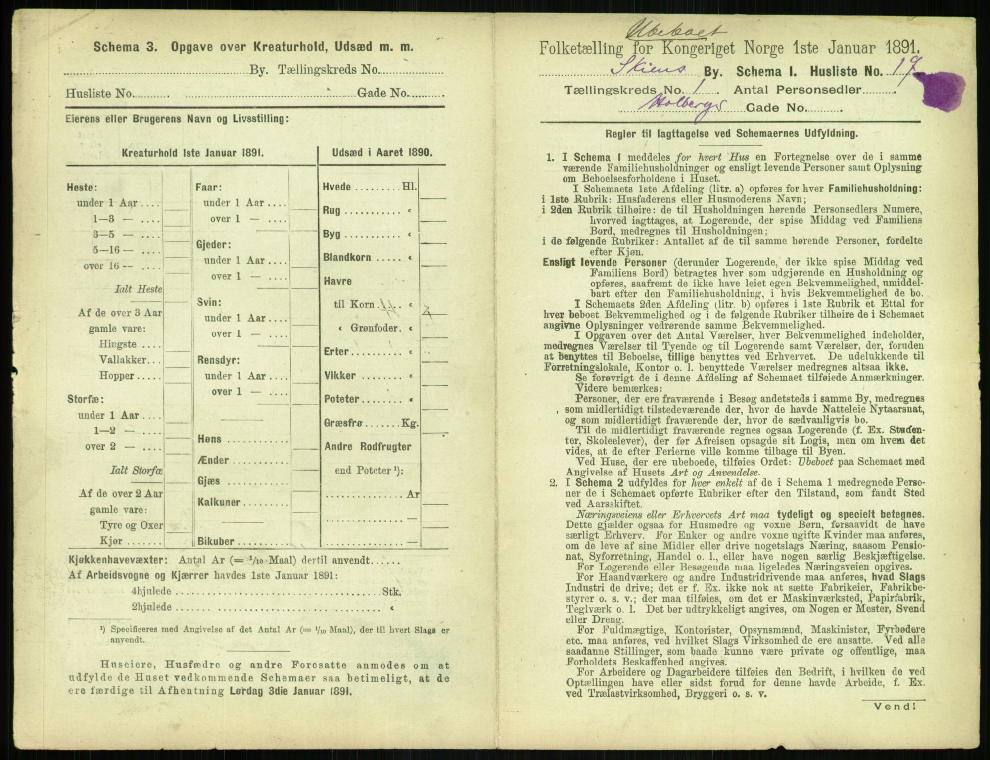 RA, 1891 census for 0806 Skien, 1891, p. 148