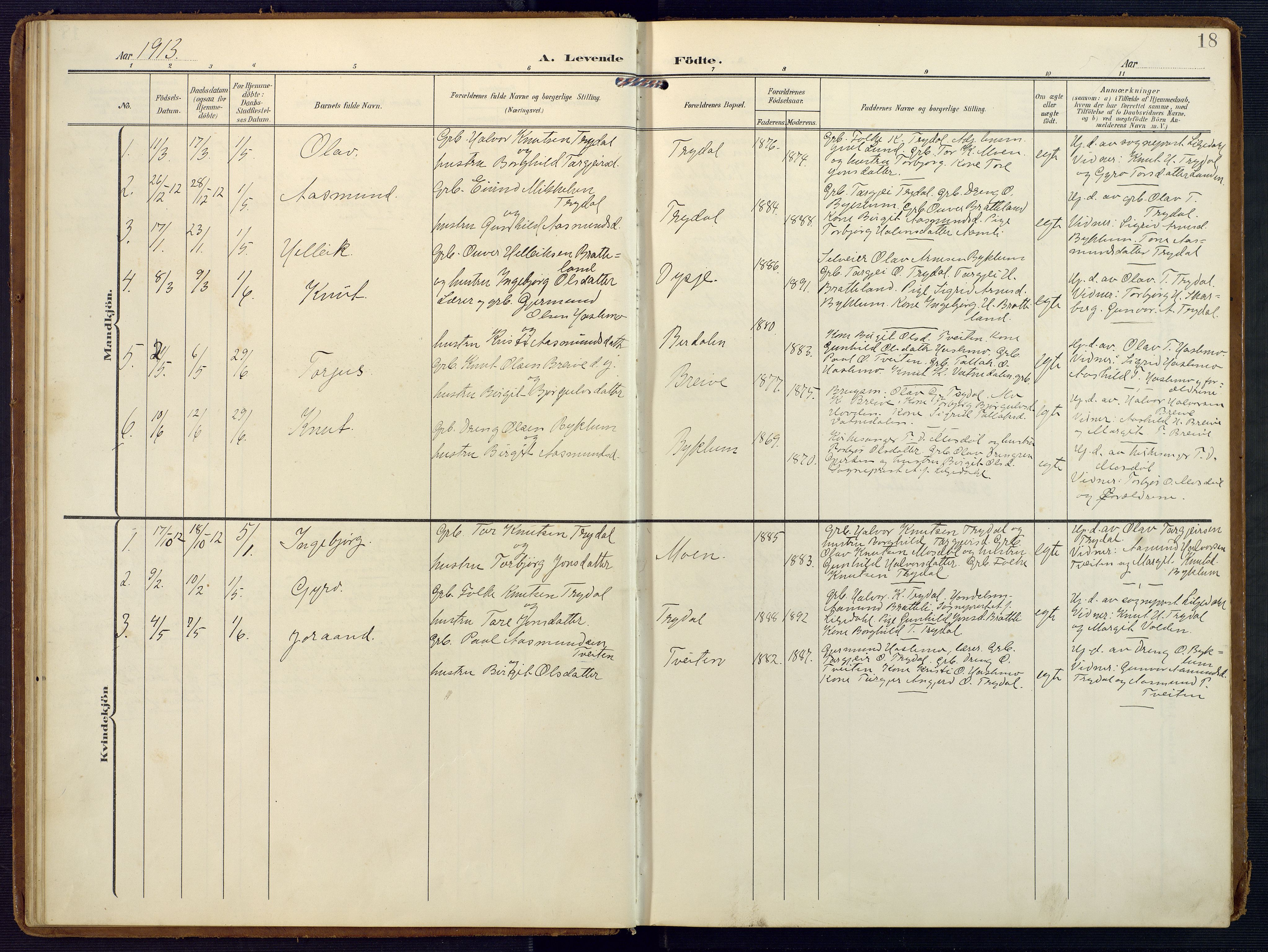 Valle sokneprestkontor, SAK/1111-0044/F/Fa/Faa/L0002: Parish register (official) no. A 2, 1907-1919, p. 18