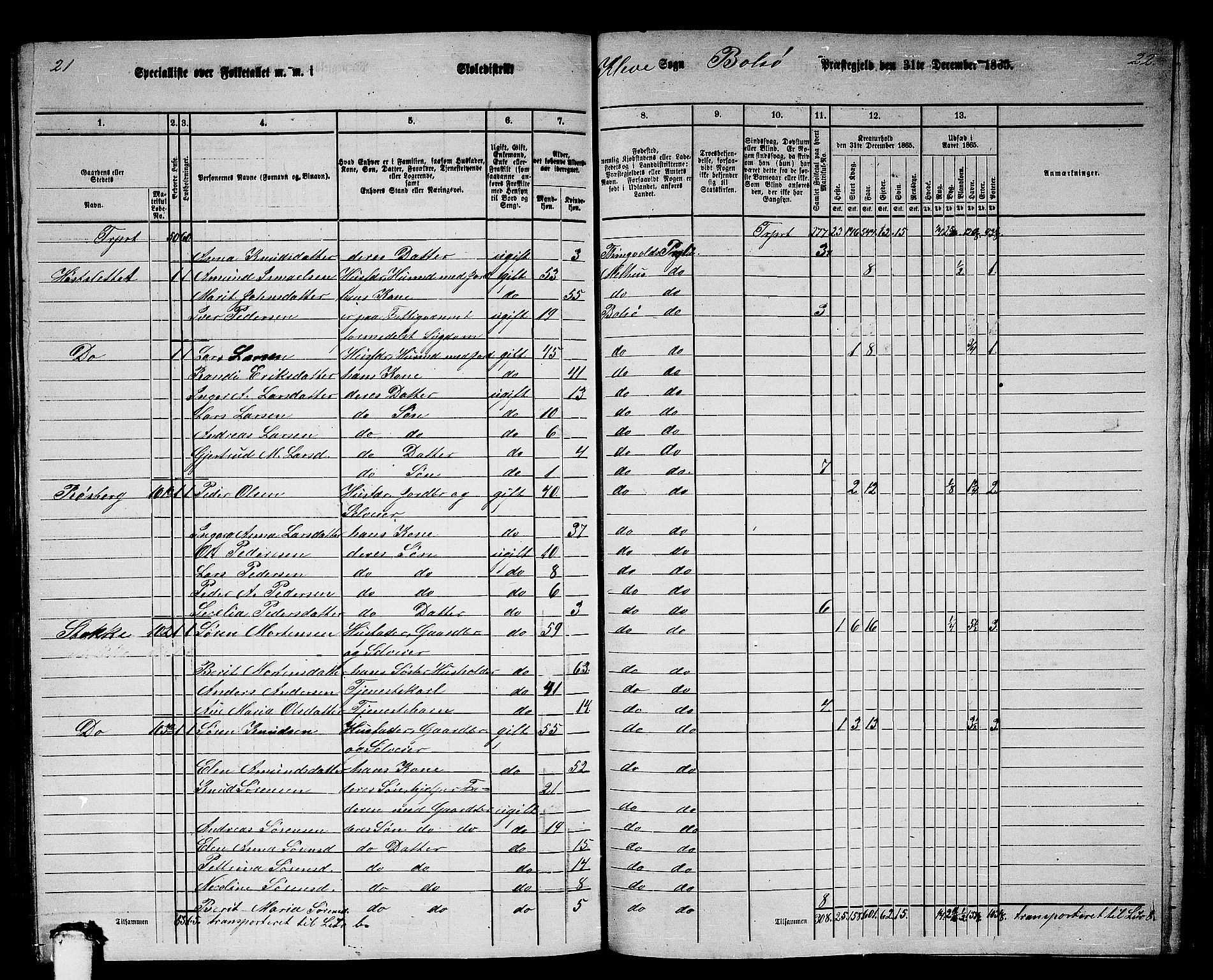 RA, 1865 census for Bolsøy, 1865, p. 95