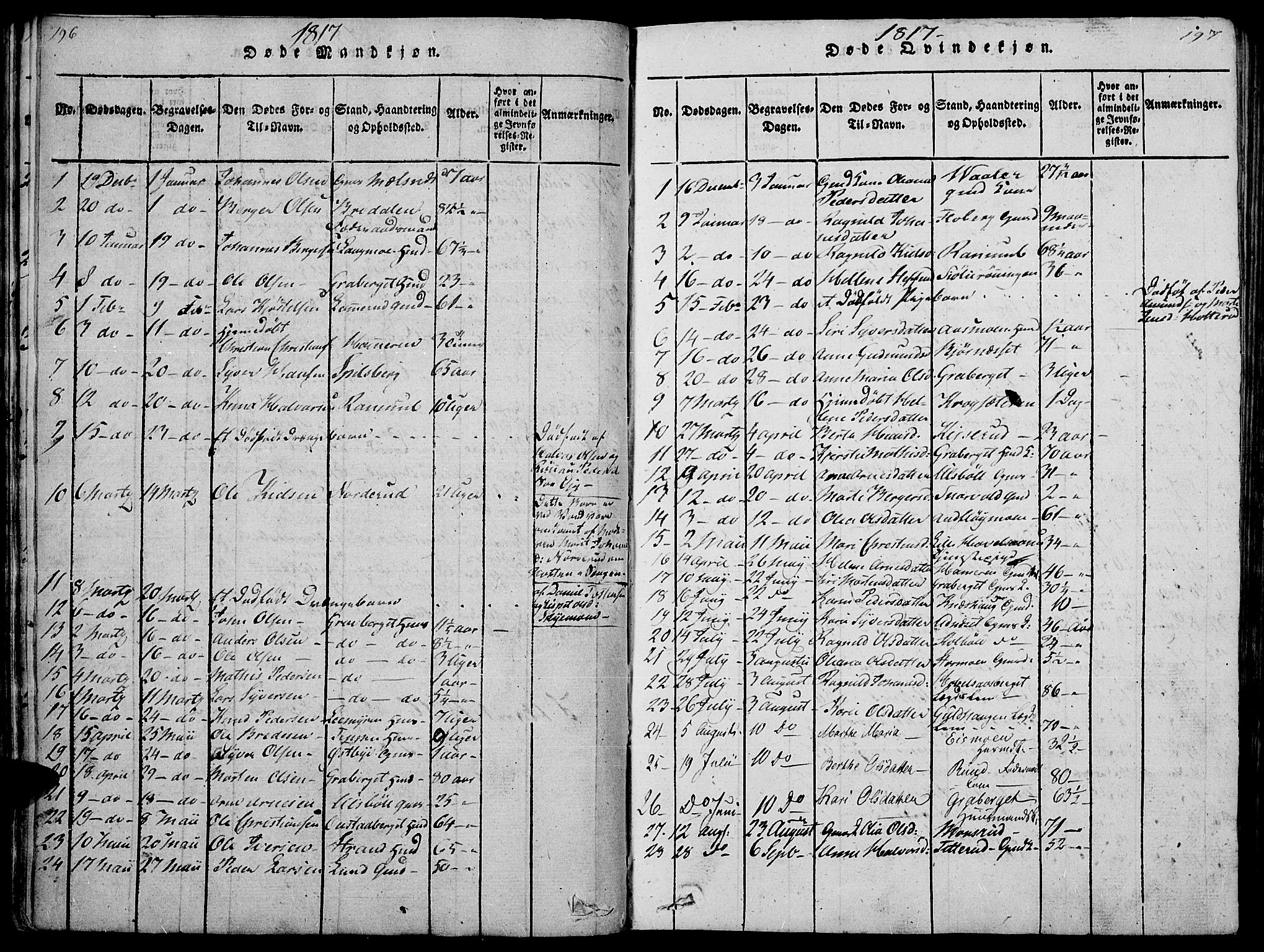 Hof prestekontor, SAH/PREST-038/H/Ha/Haa/L0005: Parish register (official) no. 5, 1816-1822, p. 196-197