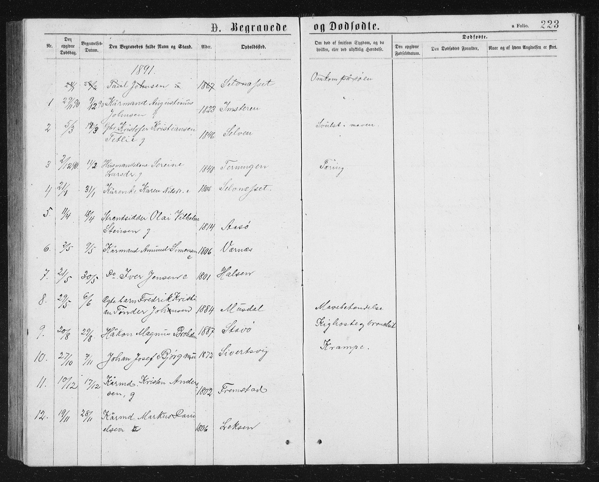 Ministerialprotokoller, klokkerbøker og fødselsregistre - Sør-Trøndelag, SAT/A-1456/662/L0756: Parish register (copy) no. 662C01, 1869-1891, p. 223