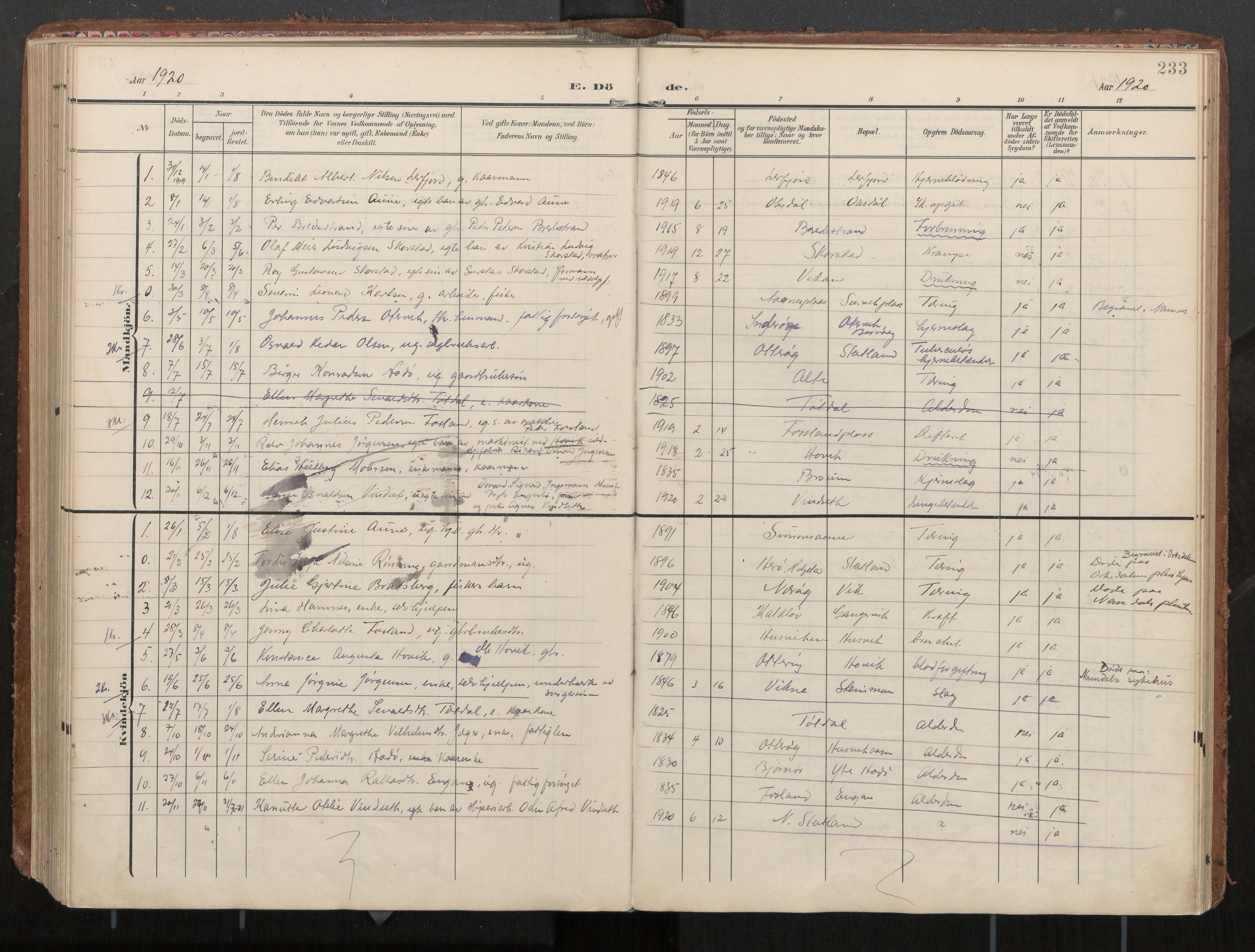 Ministerialprotokoller, klokkerbøker og fødselsregistre - Nord-Trøndelag, AV/SAT-A-1458/774/L0629: Parish register (official), 1904-1926, p. 233