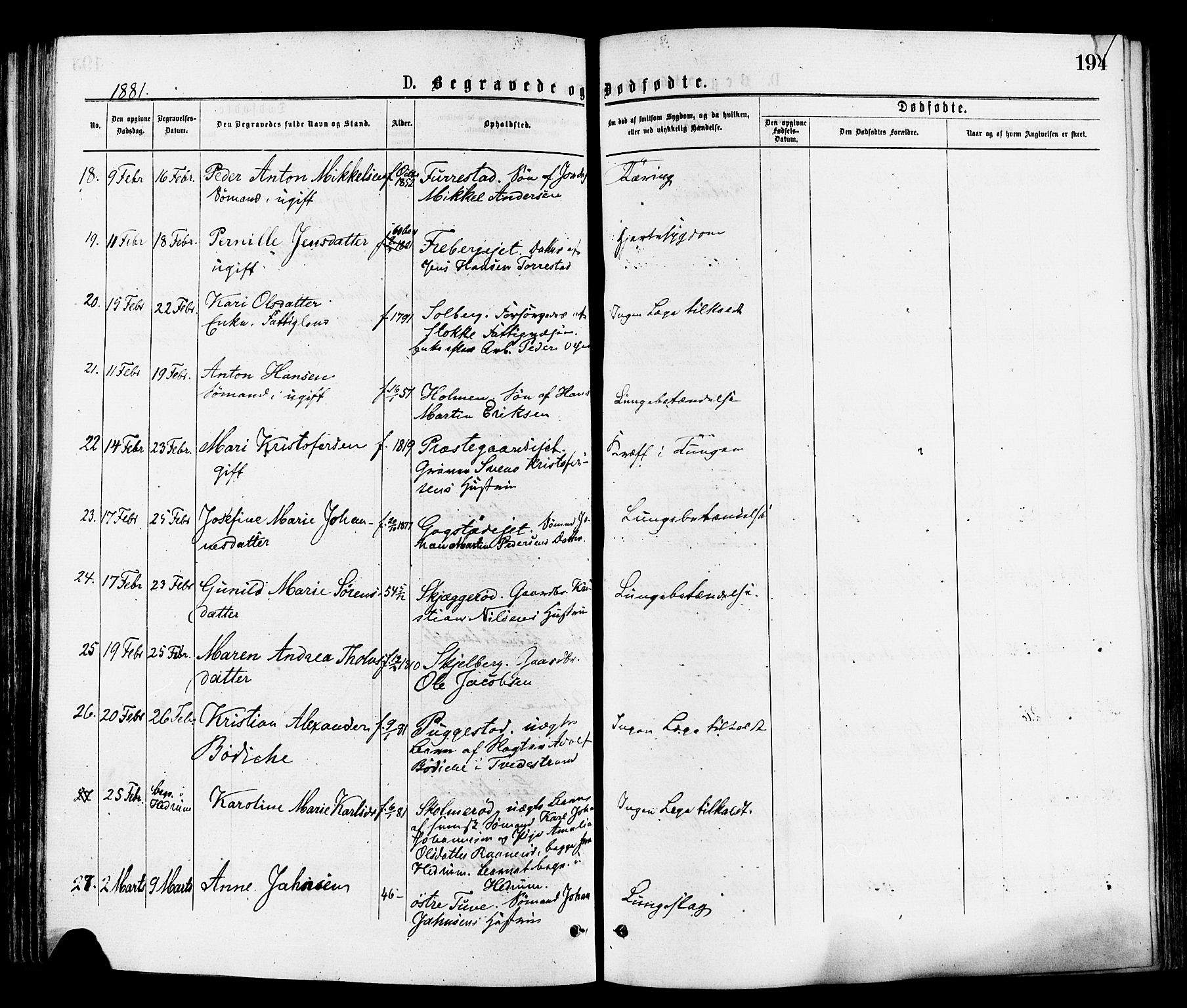 Sandar kirkebøker, SAKO/A-243/F/Fa/L0011: Parish register (official) no. 11, 1872-1882, p. 194