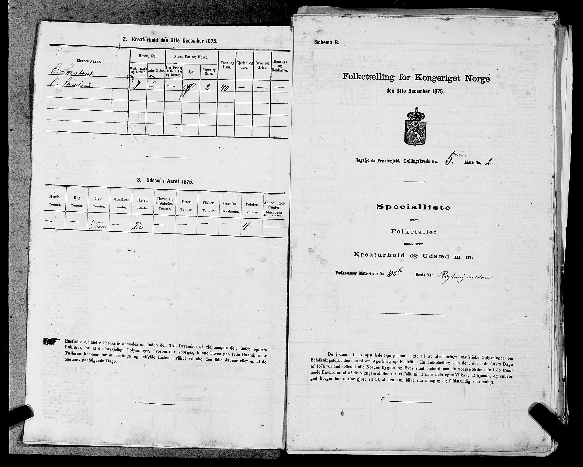 SAST, 1875 census for 1128P Høgsfjord, 1875, p. 425