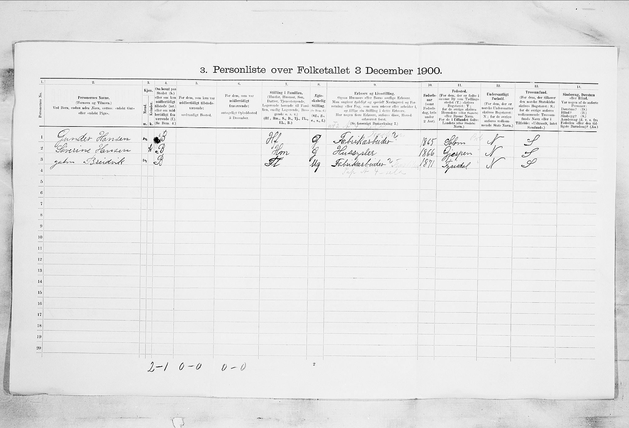 SAKO, 1900 census for Skien, 1900, p. 3735