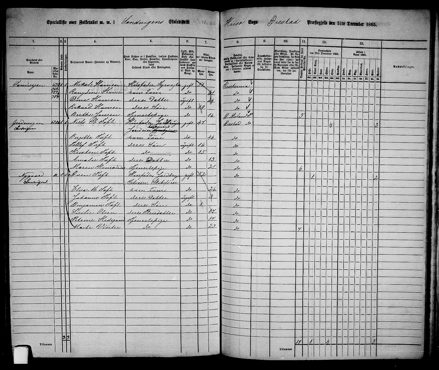 RA, 1865 census for Øyestad, 1865, p. 215