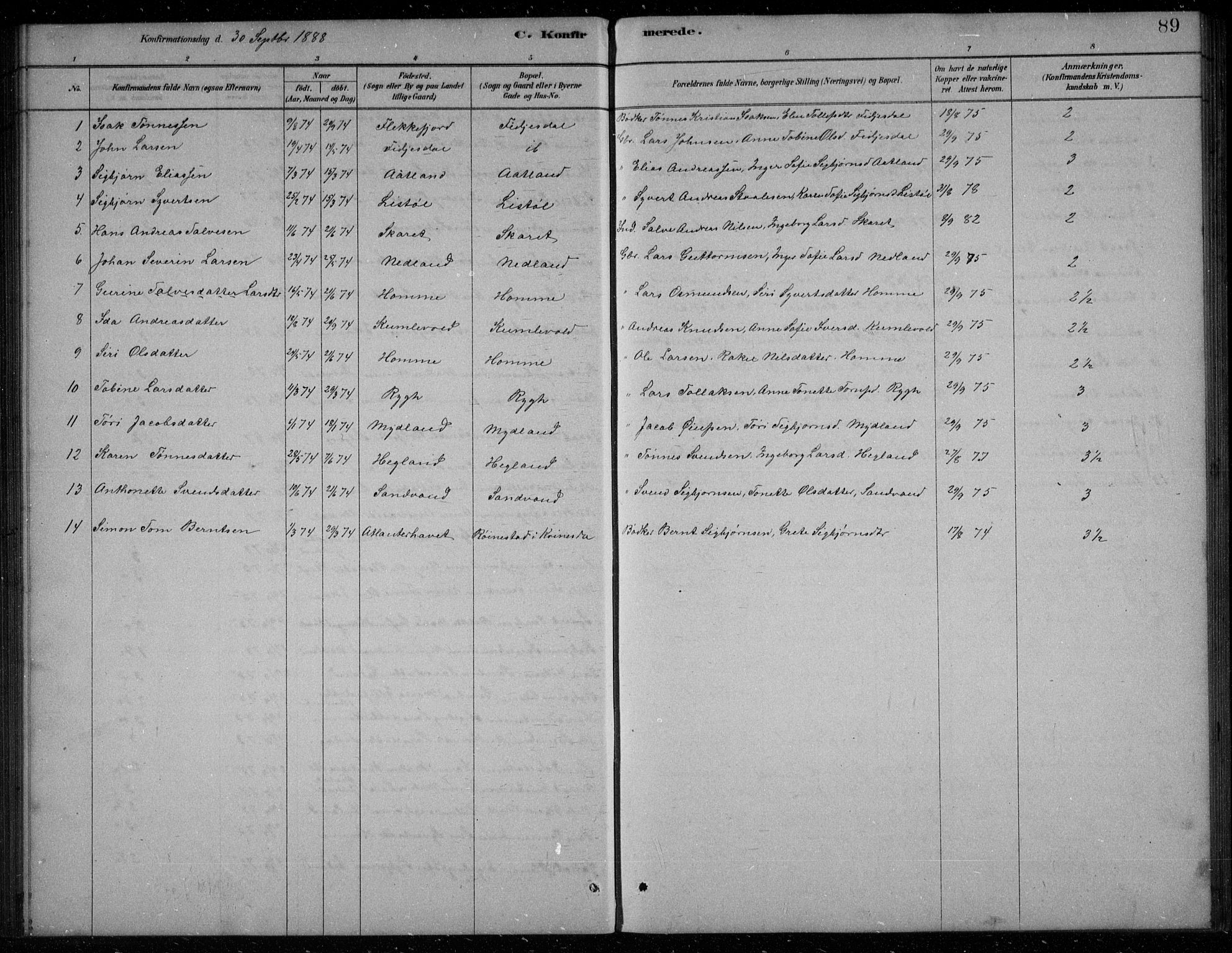 Bakke sokneprestkontor, SAK/1111-0002/F/Fb/Fbb/L0003: Parish register (copy) no. B 3, 1878-1896, p. 89