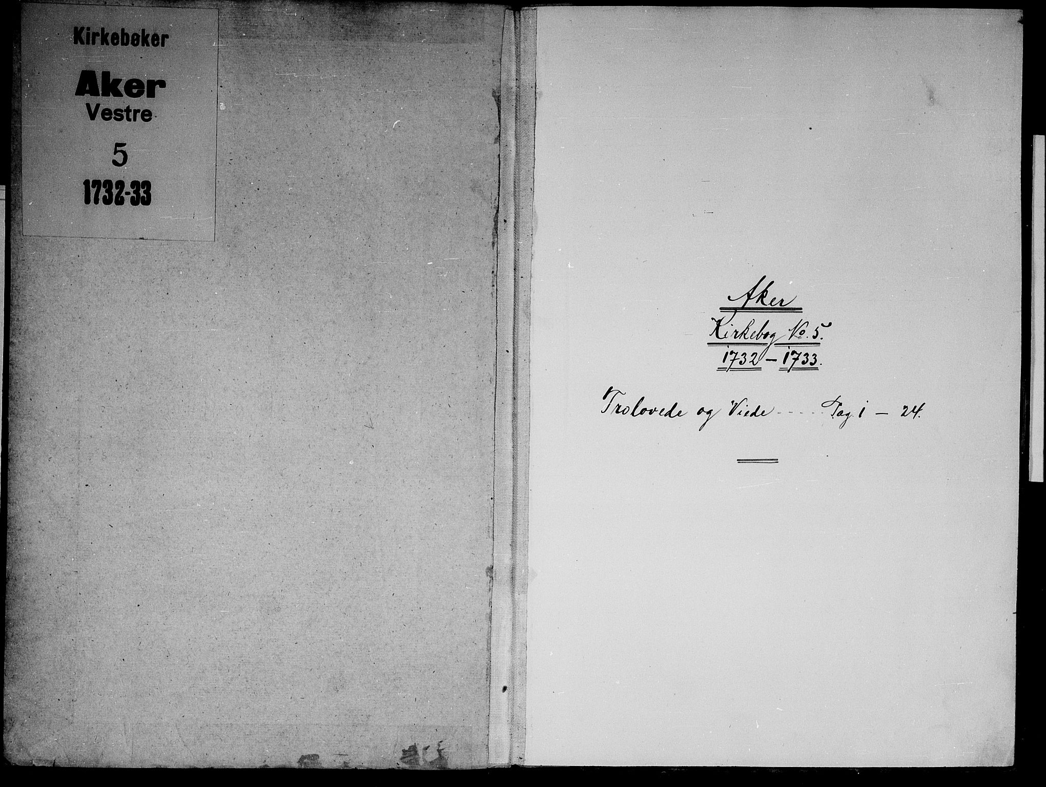 Aker prestekontor kirkebøker, AV/SAO-A-10861/F/L0005: Parish register (official) no. 5, 1732-1733