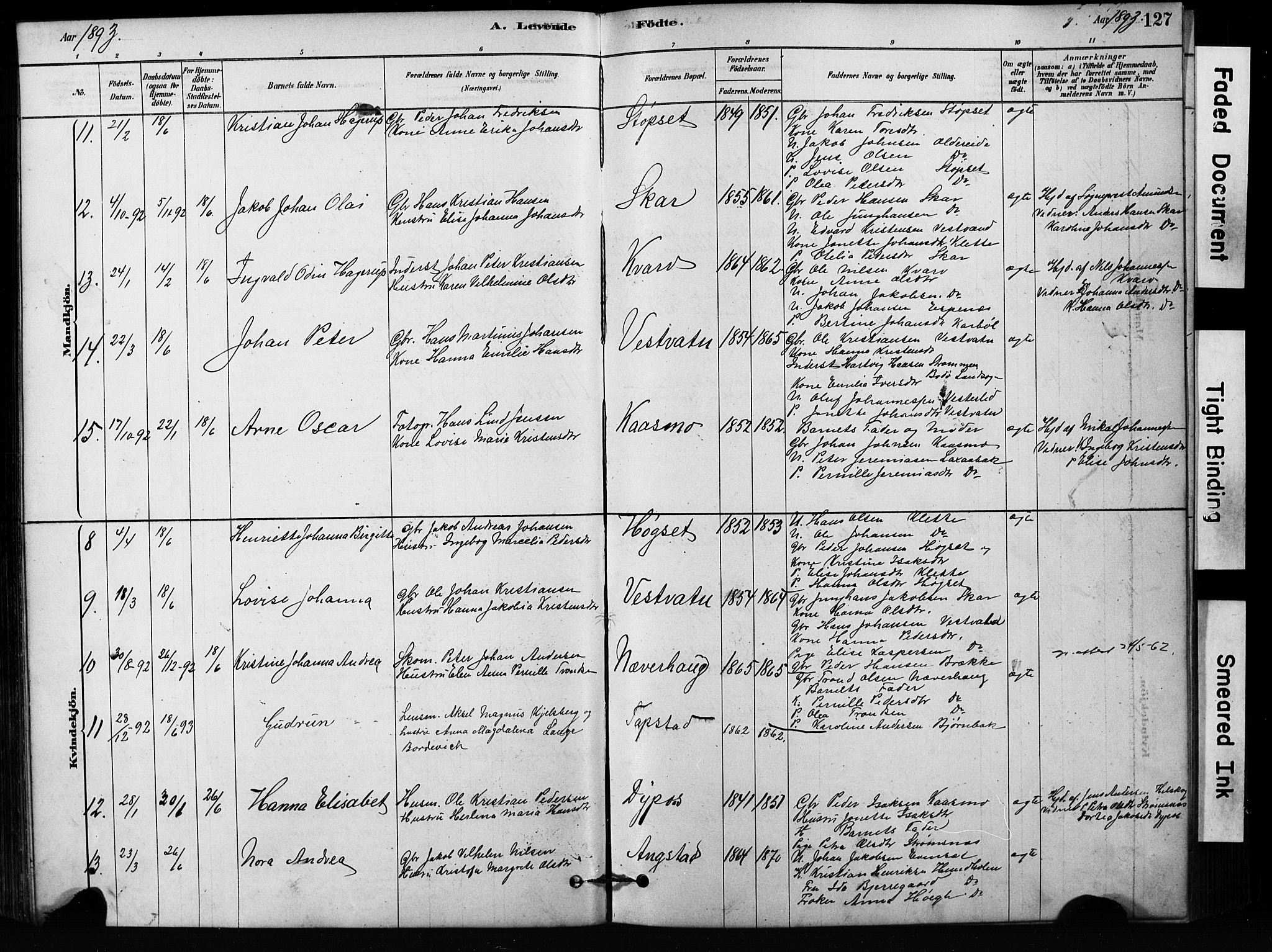 Ministerialprotokoller, klokkerbøker og fødselsregistre - Nordland, SAT/A-1459/852/L0754: Parish register (copy) no. 852C05, 1878-1894, p. 127