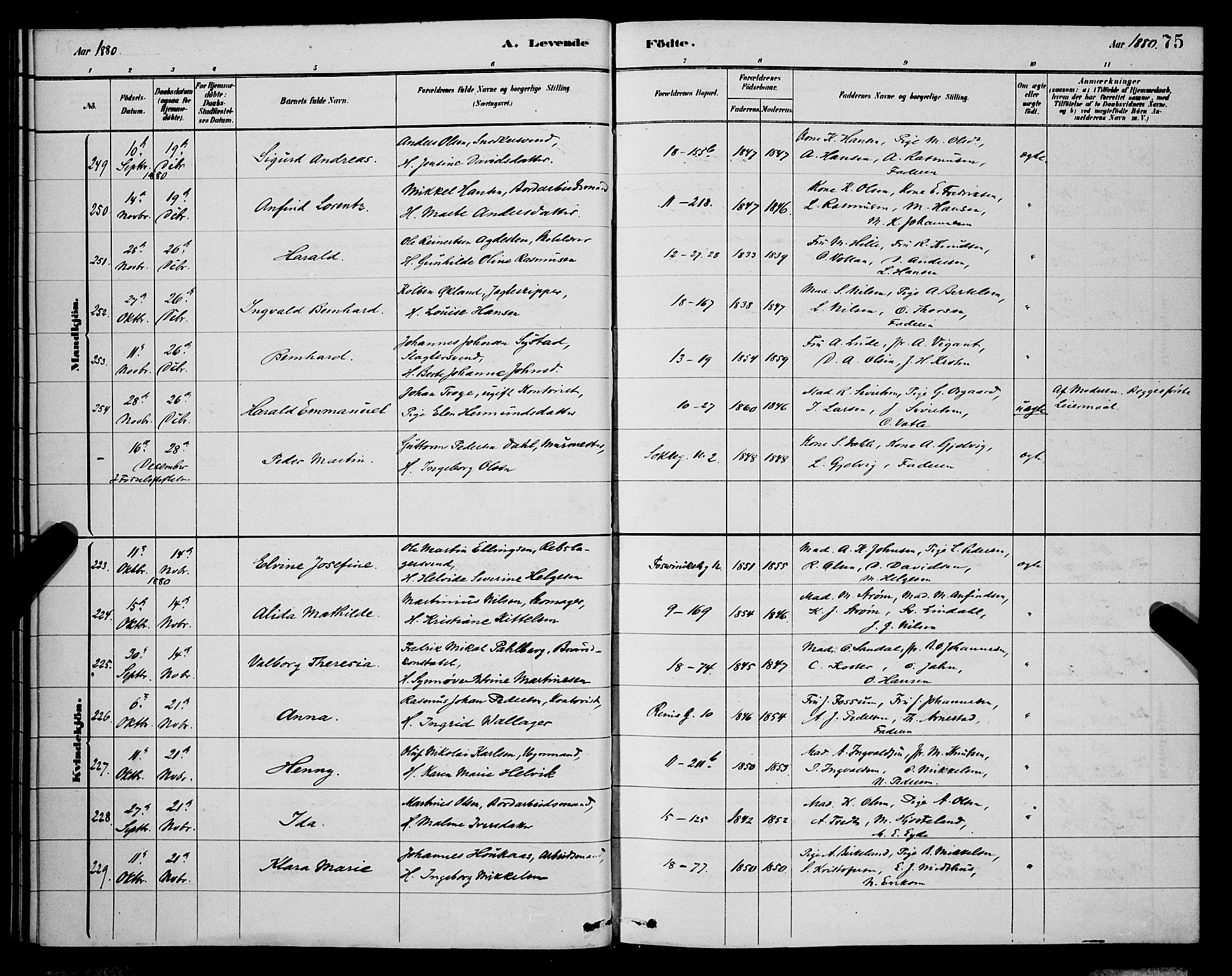 Domkirken sokneprestembete, AV/SAB-A-74801/H/Hab/L0015: Parish register (copy) no. B 8, 1879-1887, p. 75