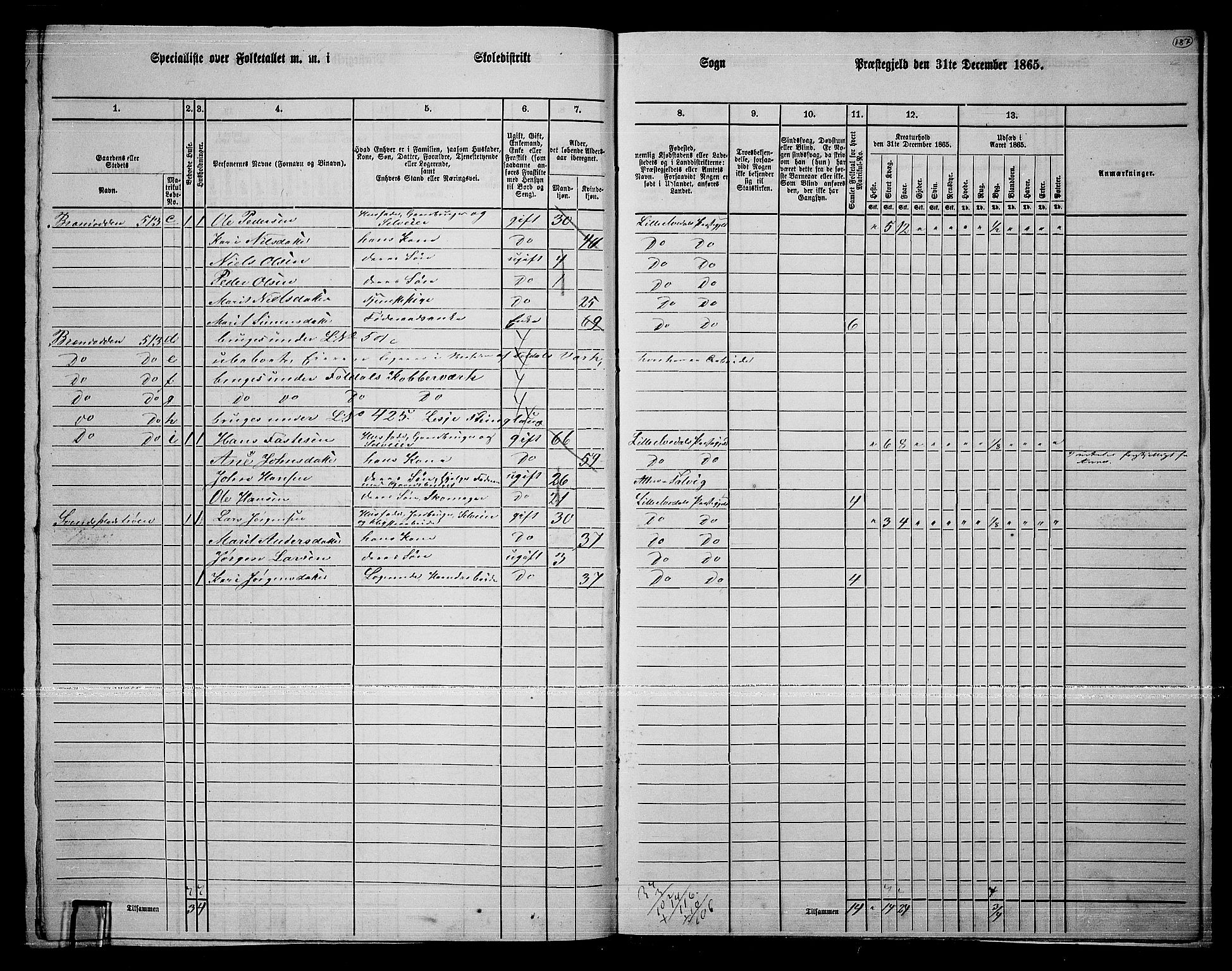 RA, 1865 census for Lille Elvedalen, 1865, p. 154