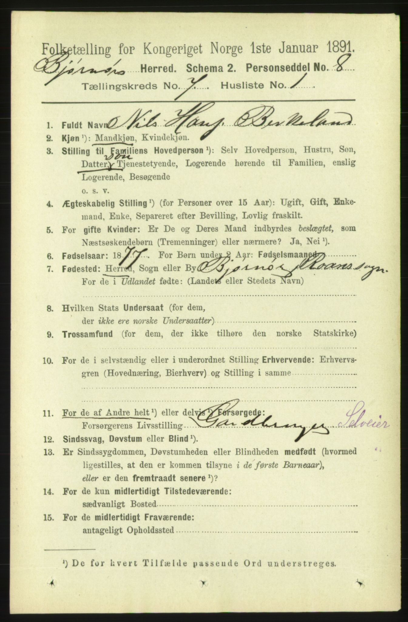 RA, 1891 census for 1632 Bjørnør, 1891, p. 2991