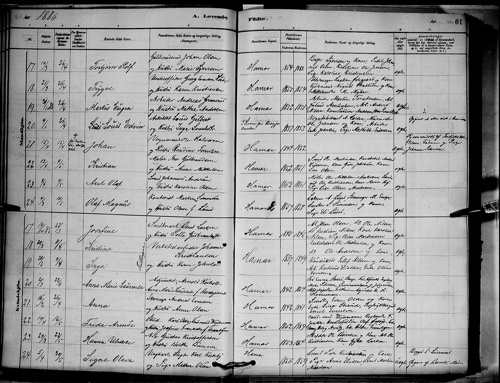 Vang prestekontor, Hedmark, AV/SAH-PREST-008/H/Ha/Hab/L0012: Parish register (copy) no. 12, 1878-1889, p. 61