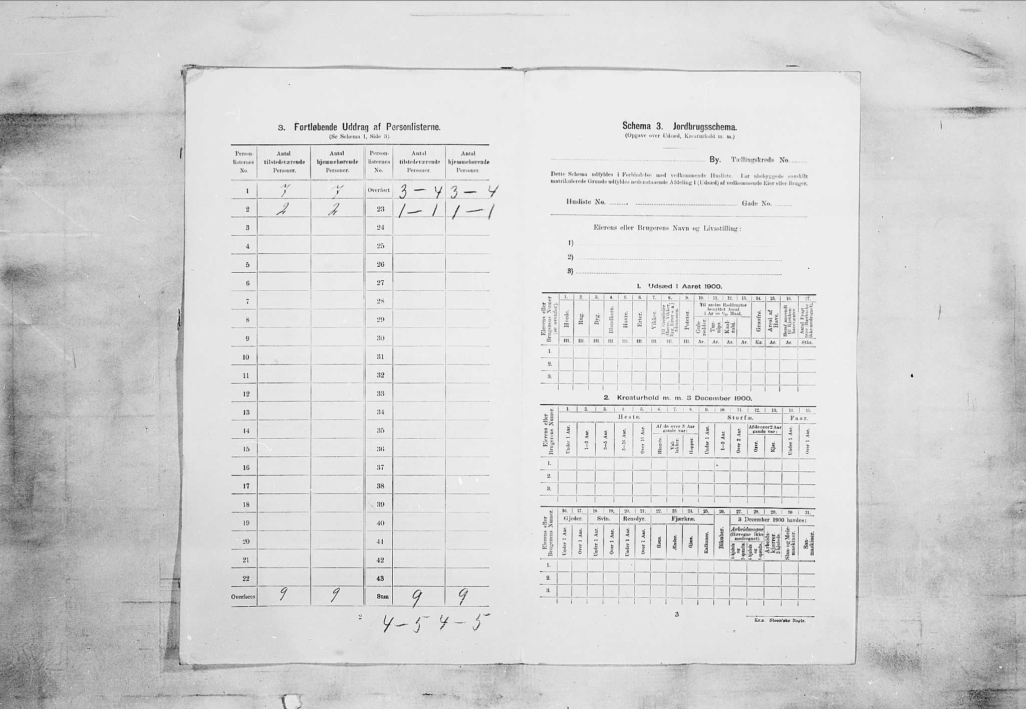 SAKO, 1900 census for Skien, 1900, p. 4624