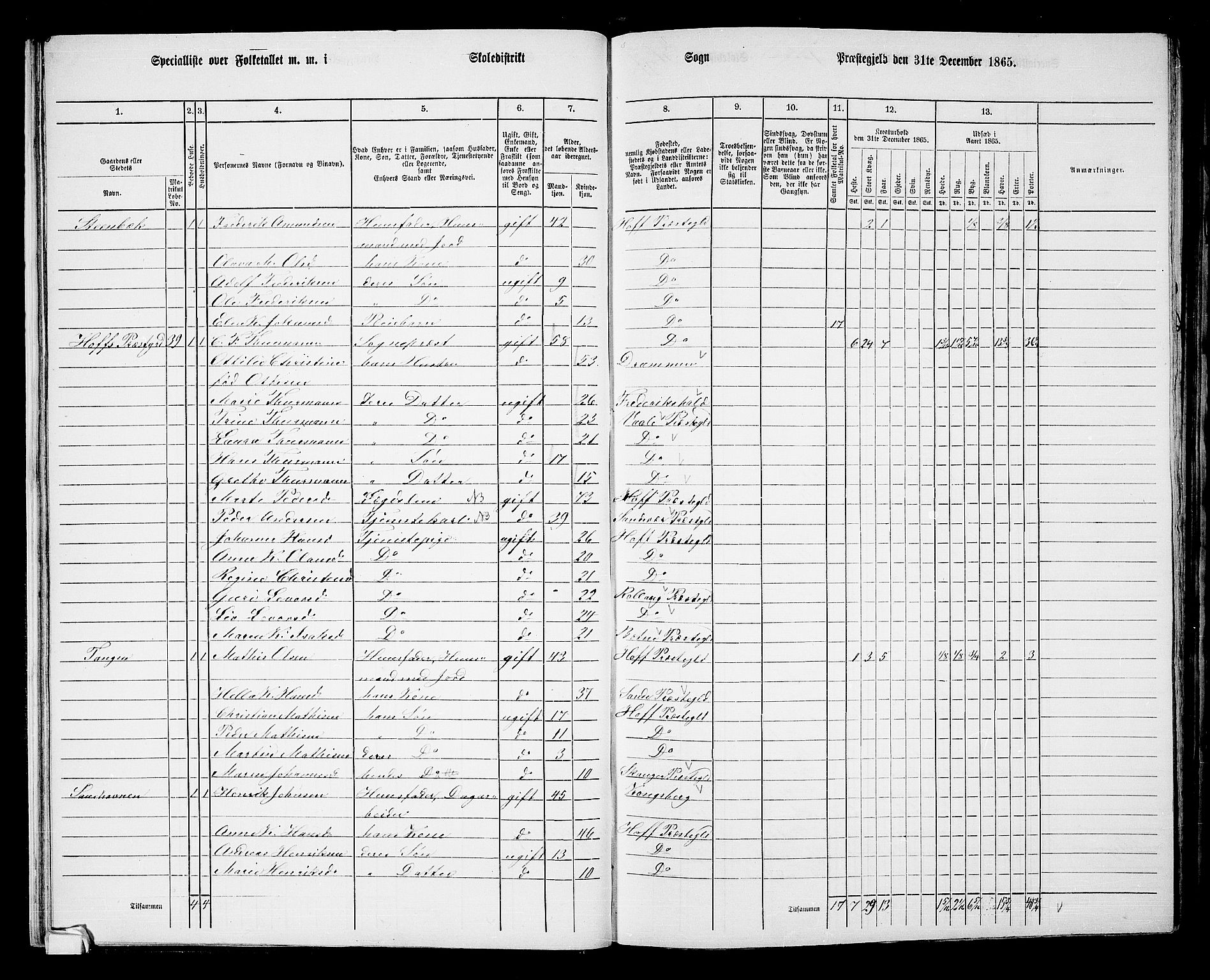 RA, 1865 census for Hof, 1865, p. 27