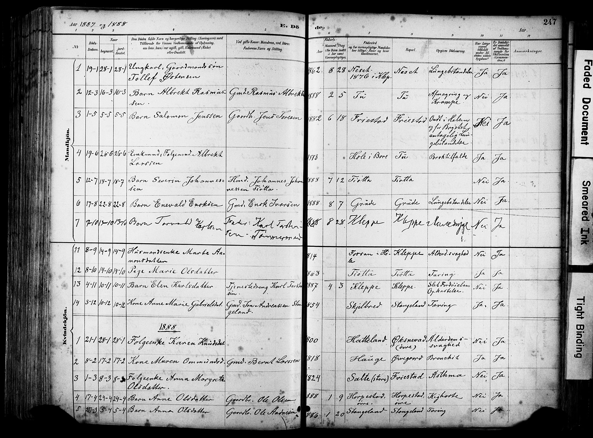 Klepp sokneprestkontor, SAST/A-101803/001/3/30BA/L0009: Parish register (official) no. A 7, 1886-1915, p. 247