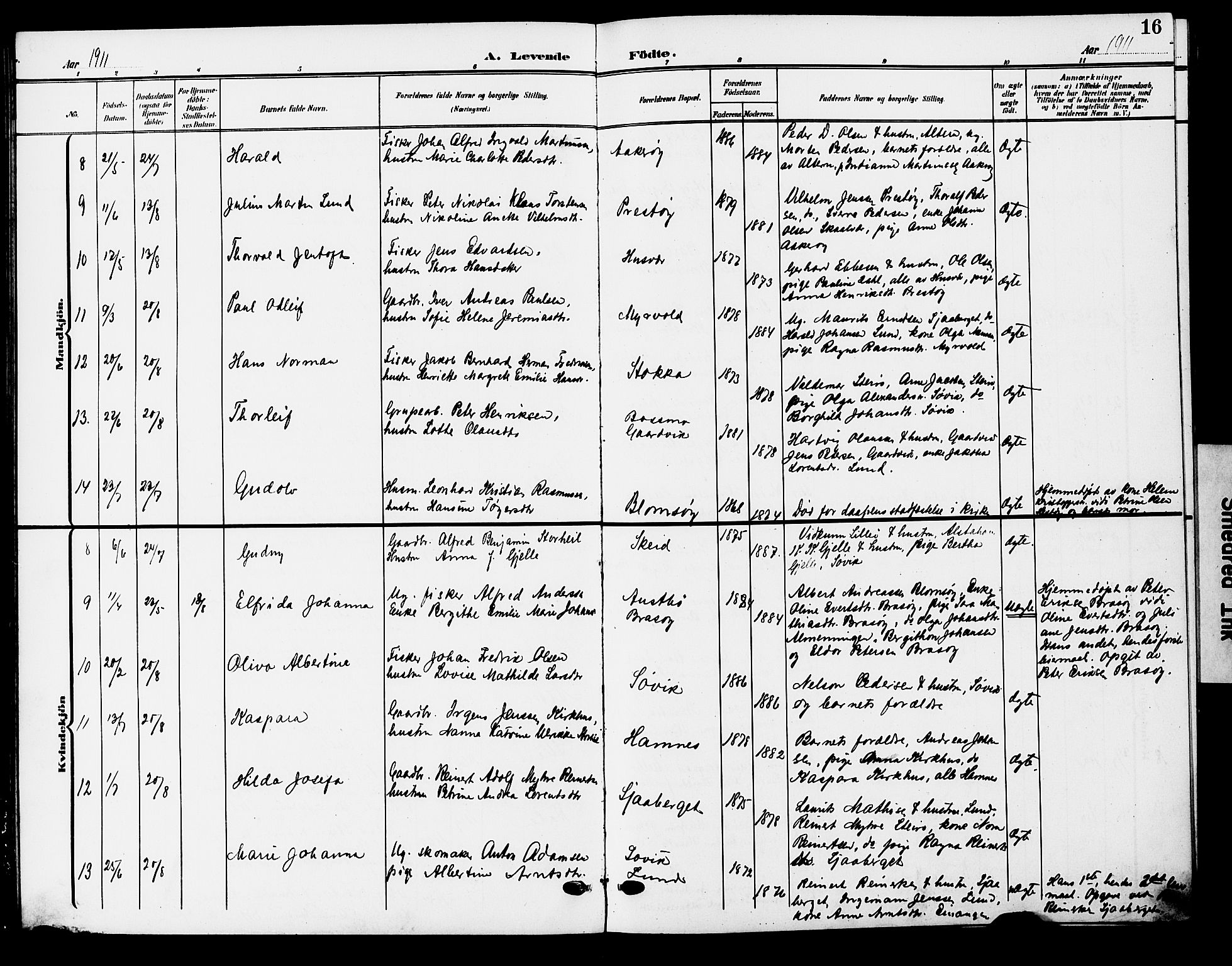 Ministerialprotokoller, klokkerbøker og fødselsregistre - Nordland, AV/SAT-A-1459/830/L0464: Parish register (copy) no. 830C06, 1906-1925, p. 16