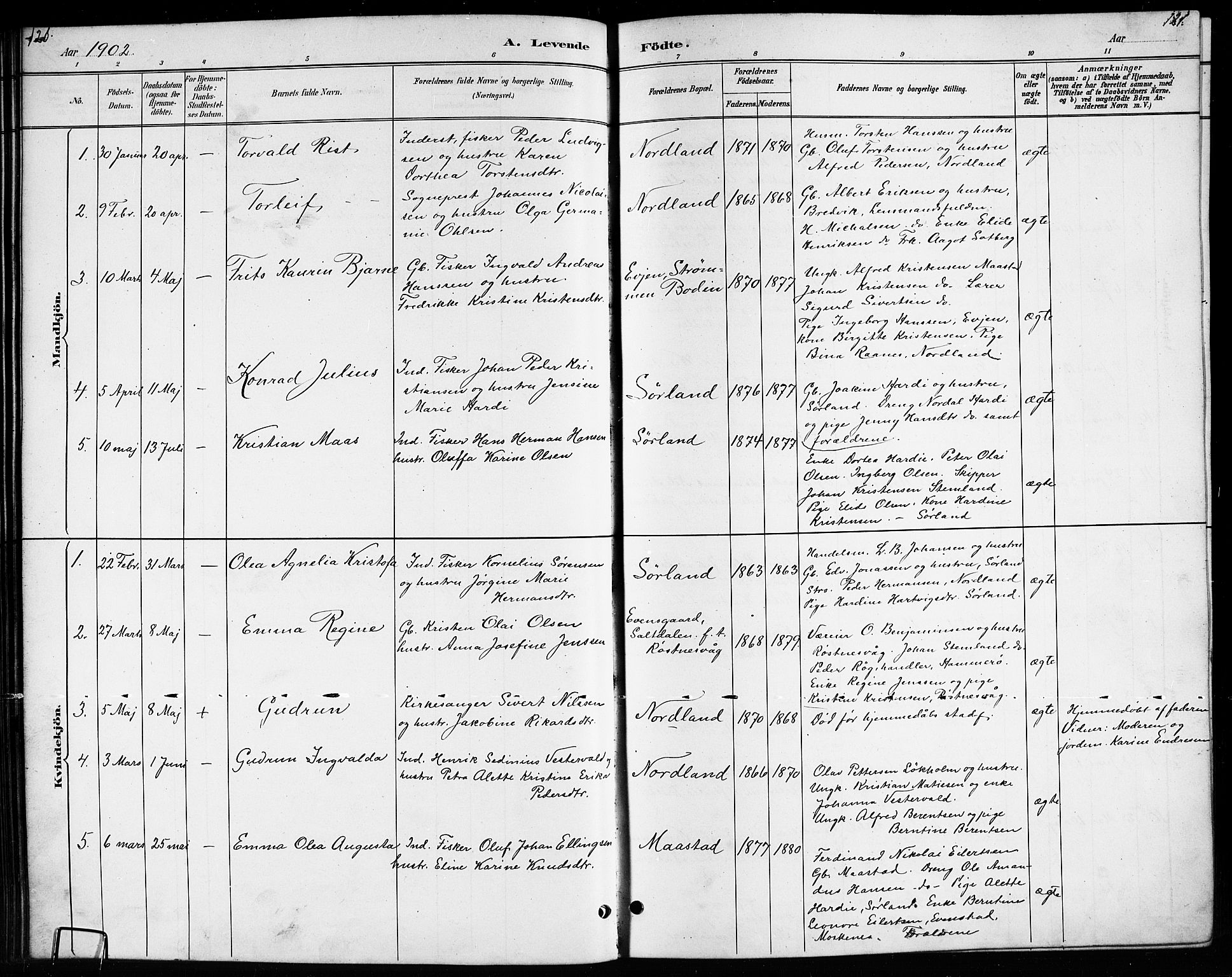 Ministerialprotokoller, klokkerbøker og fødselsregistre - Nordland, SAT/A-1459/807/L0123: Parish register (copy) no. 807C01, 1884-1910, p. 120-121
