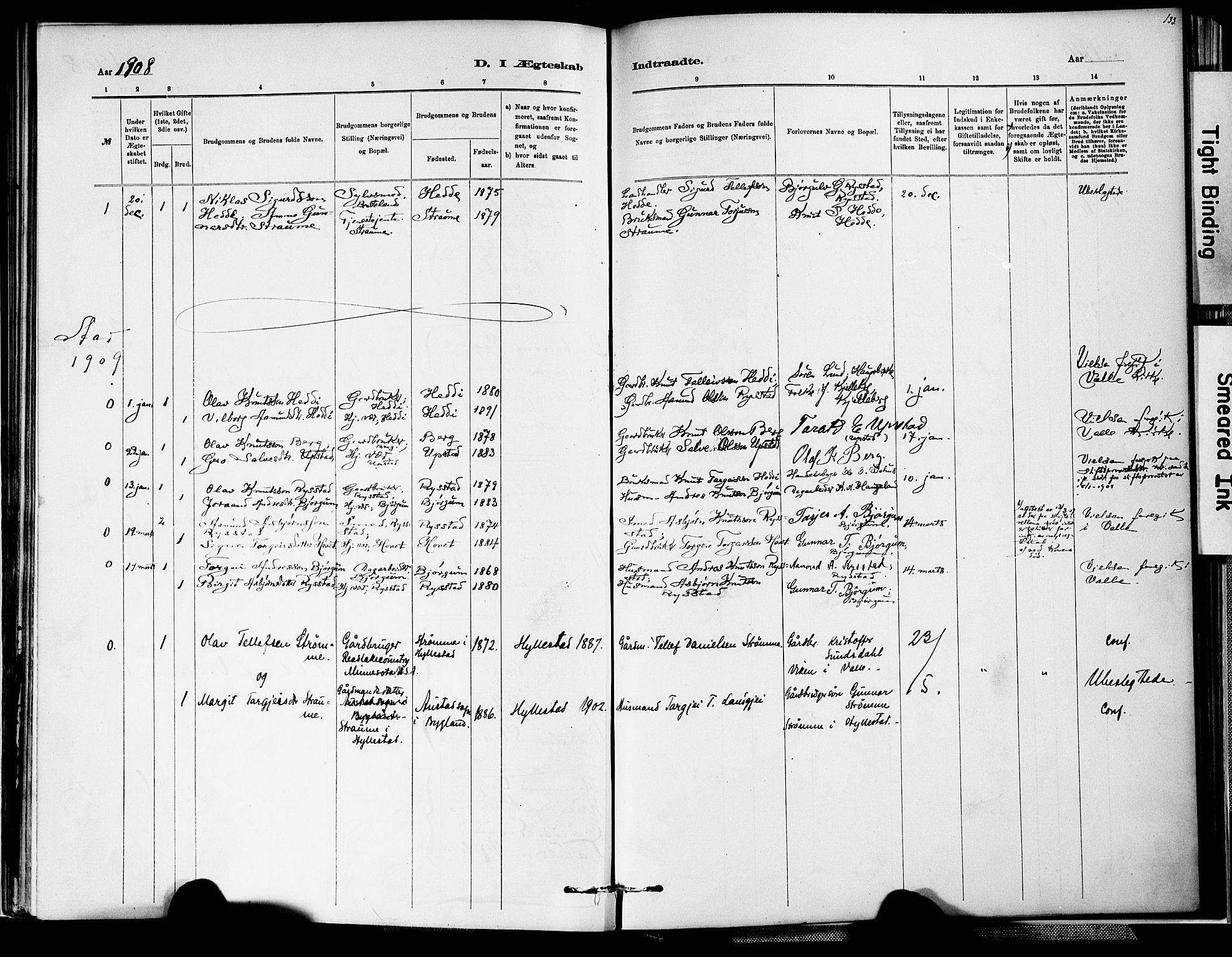 Valle sokneprestkontor, SAK/1111-0044/F/Fa/Fab/L0001: Parish register (official) no. A 1, 1882-1910, p. 133