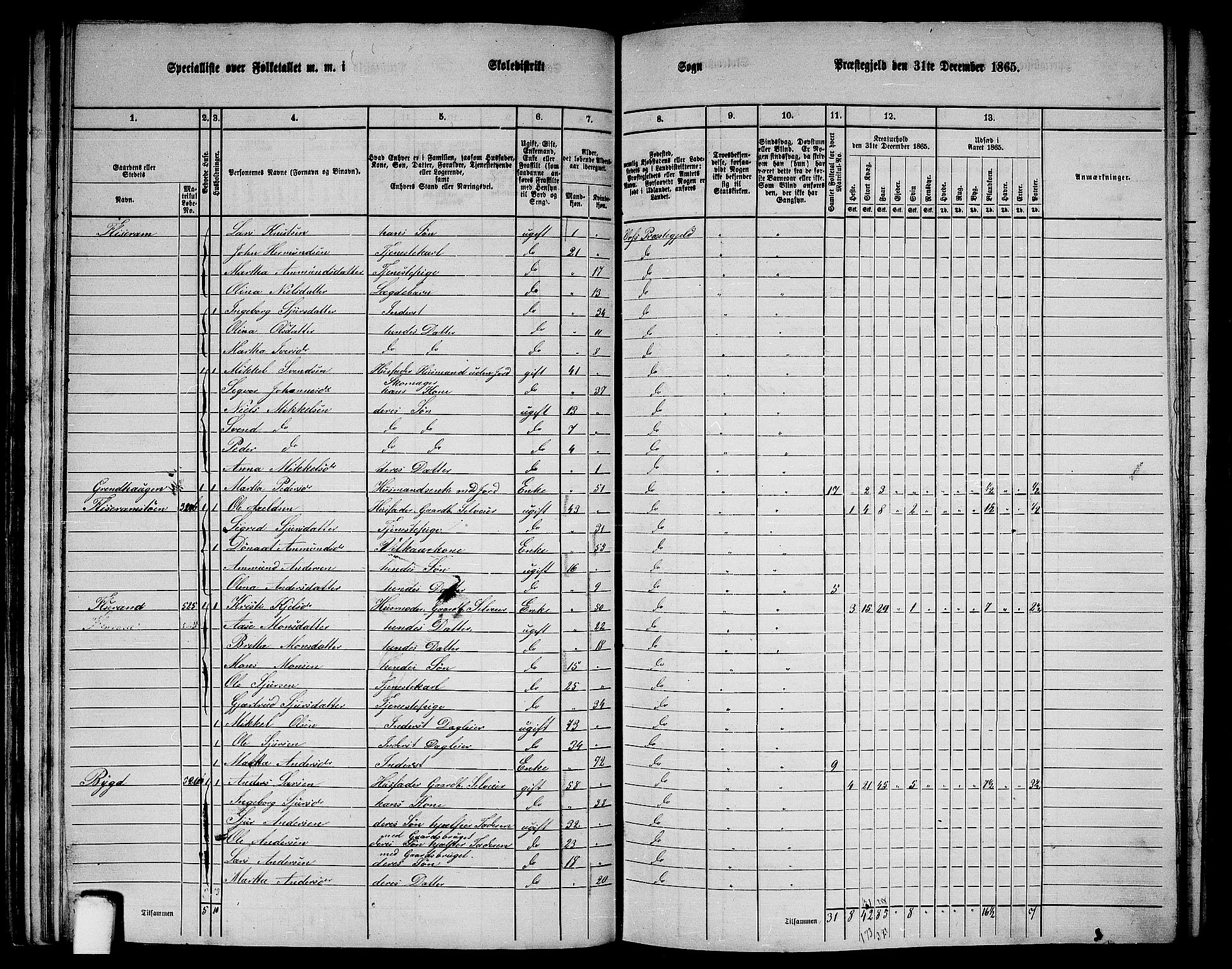 RA, 1865 census for Voss, 1865, p. 287