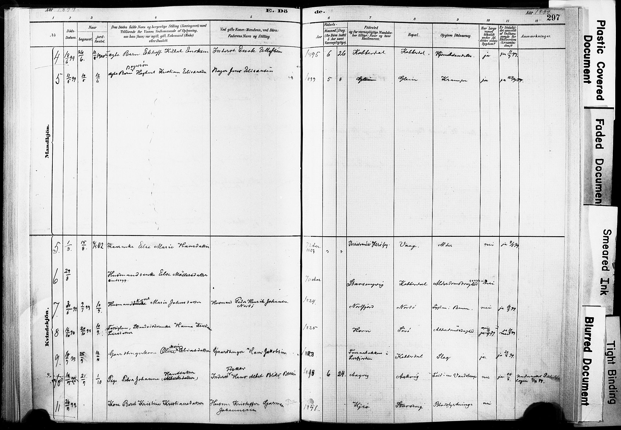 Ministerialprotokoller, klokkerbøker og fødselsregistre - Nordland, AV/SAT-A-1459/835/L0526: Parish register (official) no. 835A03II, 1881-1910, p. 297