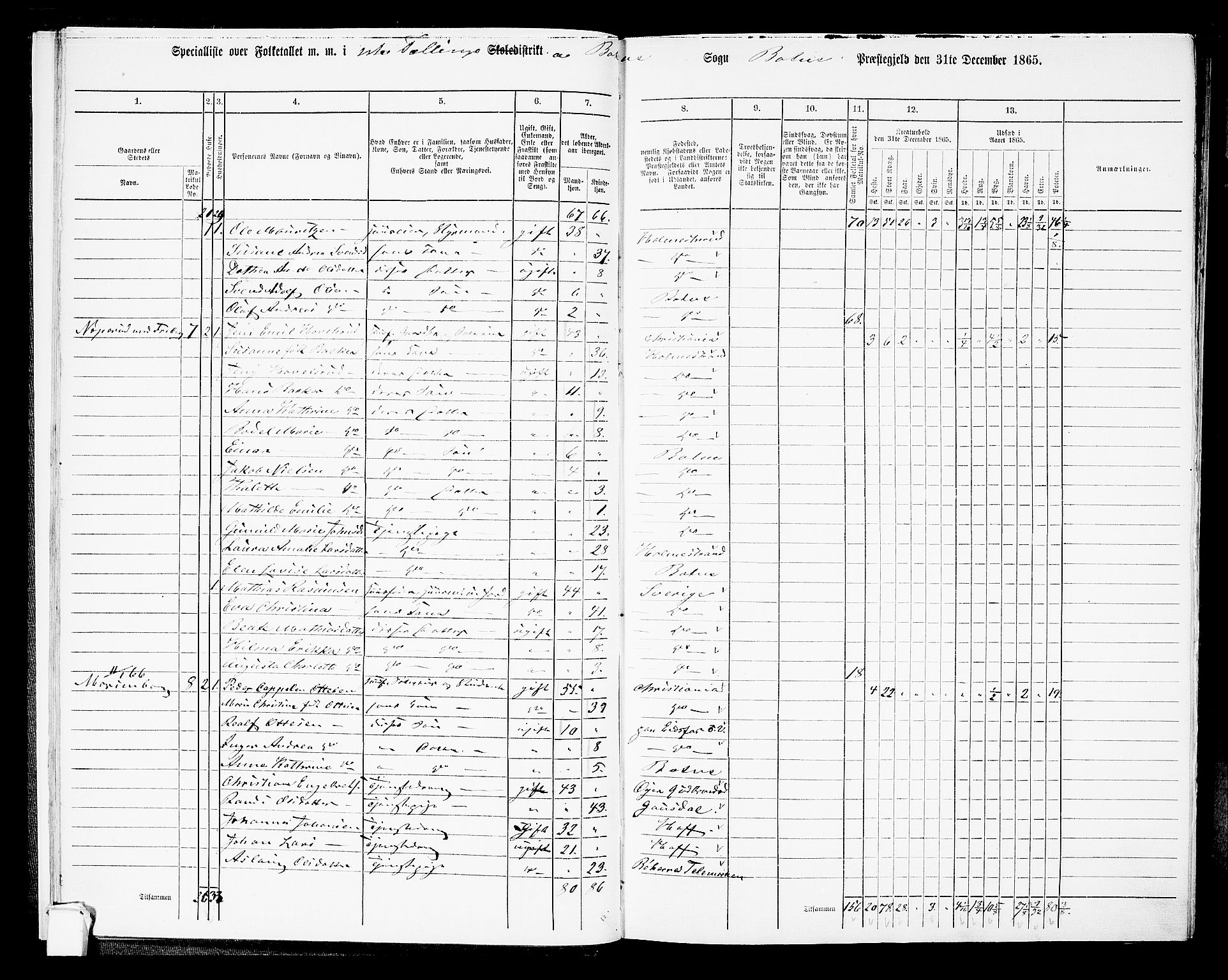 RA, 1865 census for Botne/Botne og Hillestad, 1865, p. 16