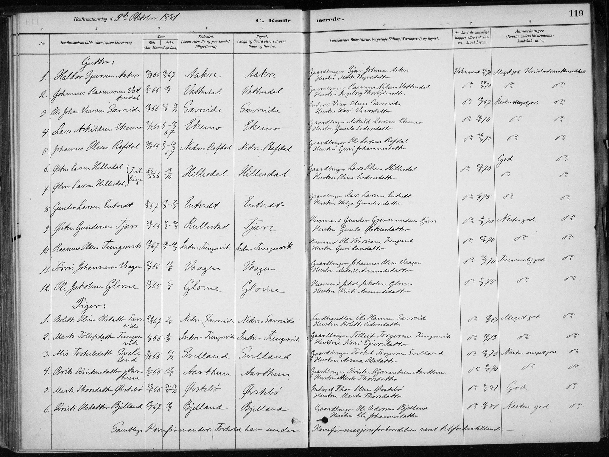 Skånevik sokneprestembete, SAB/A-77801/H/Haa: Parish register (official) no. E  1, 1879-1901, p. 119