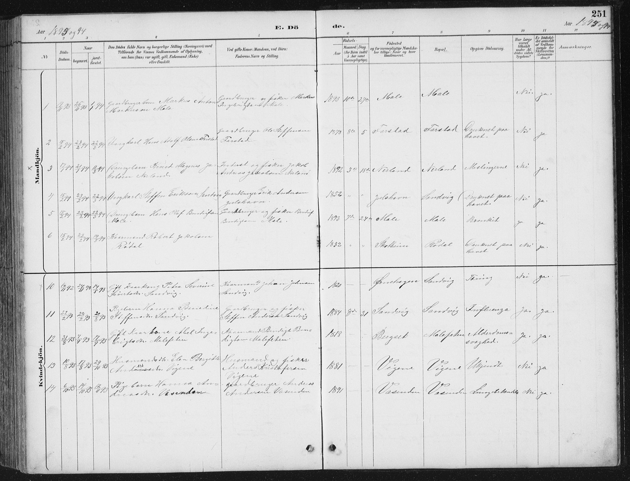 Ministerialprotokoller, klokkerbøker og fødselsregistre - Møre og Romsdal, AV/SAT-A-1454/567/L0783: Parish register (copy) no. 567C03, 1887-1903, p. 251