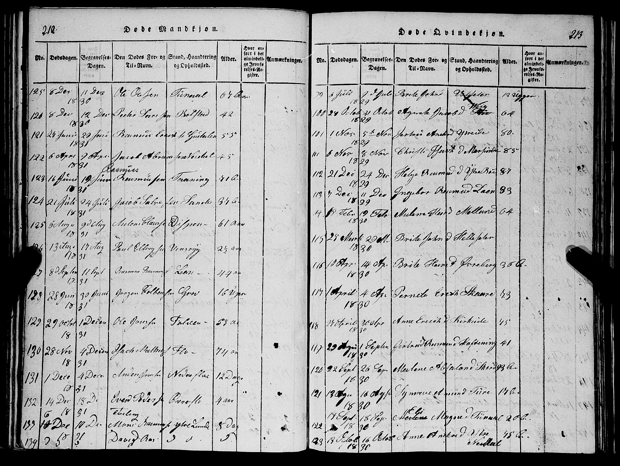 Stryn Sokneprestembete, SAB/A-82501: Parish register (copy) no. C 1, 1801-1845, p. 212-213