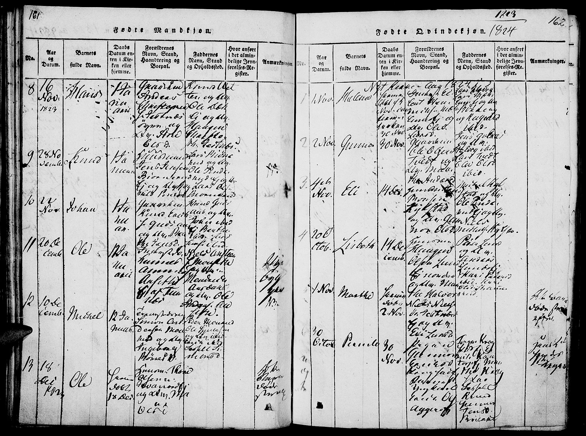 Vang prestekontor, Hedmark, AV/SAH-PREST-008/H/Ha/Haa/L0008: Parish register (official) no. 8, 1815-1826, p. 161-162