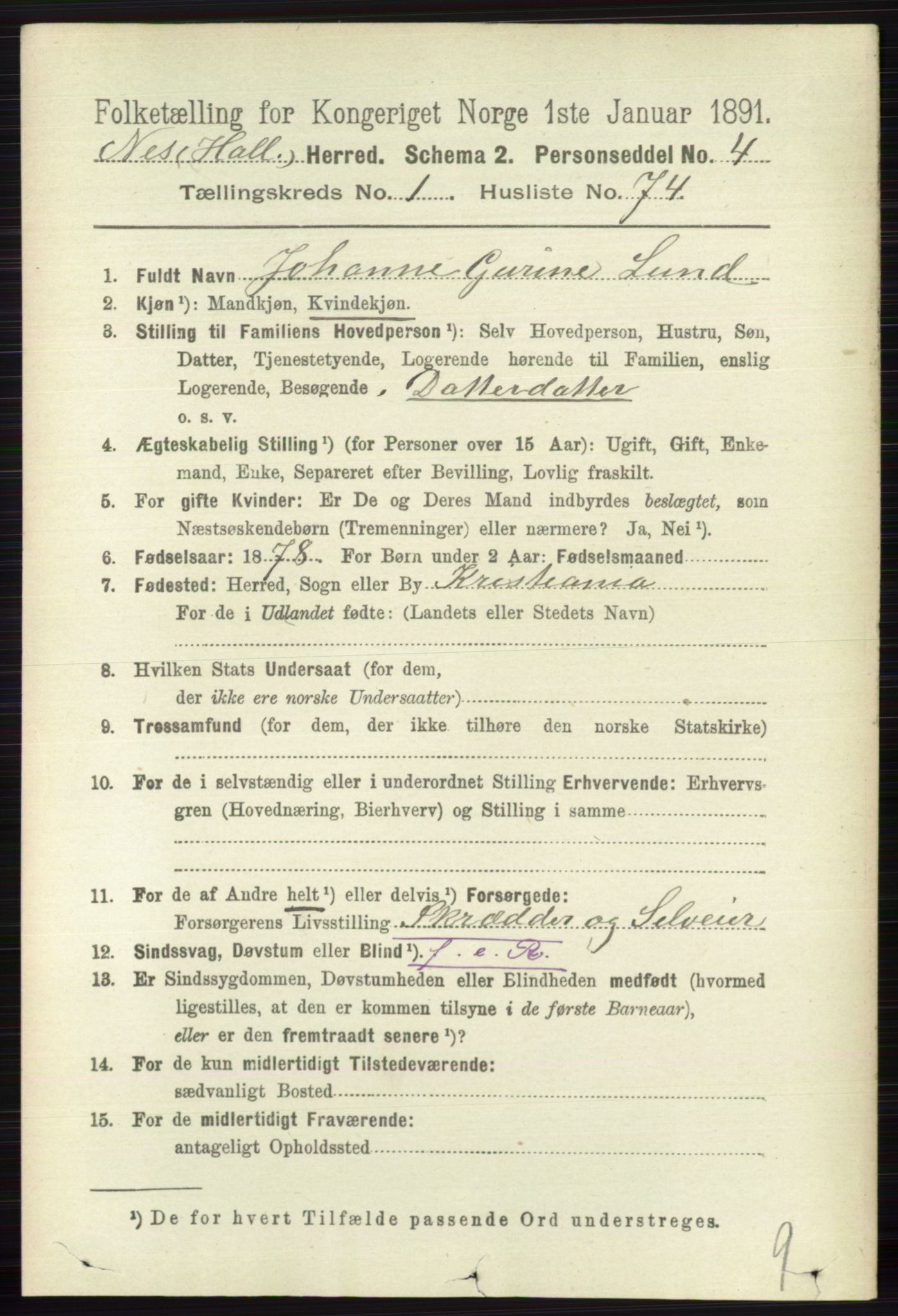 RA, 1891 census for 0616 Nes, 1891, p. 592