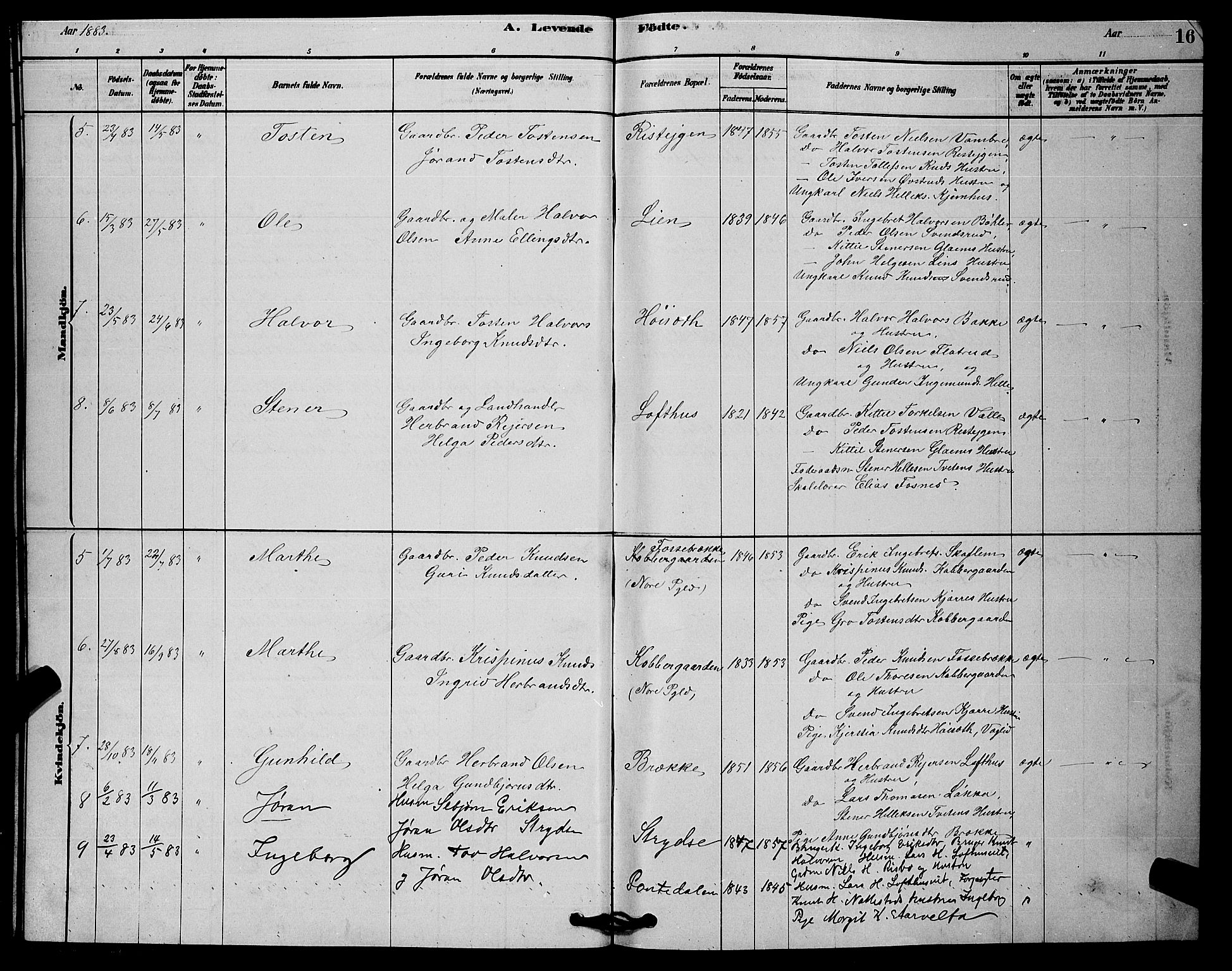 Rollag kirkebøker, AV/SAKO-A-240/G/Gb/L0002: Parish register (copy) no. II 2, 1878-1898, p. 16