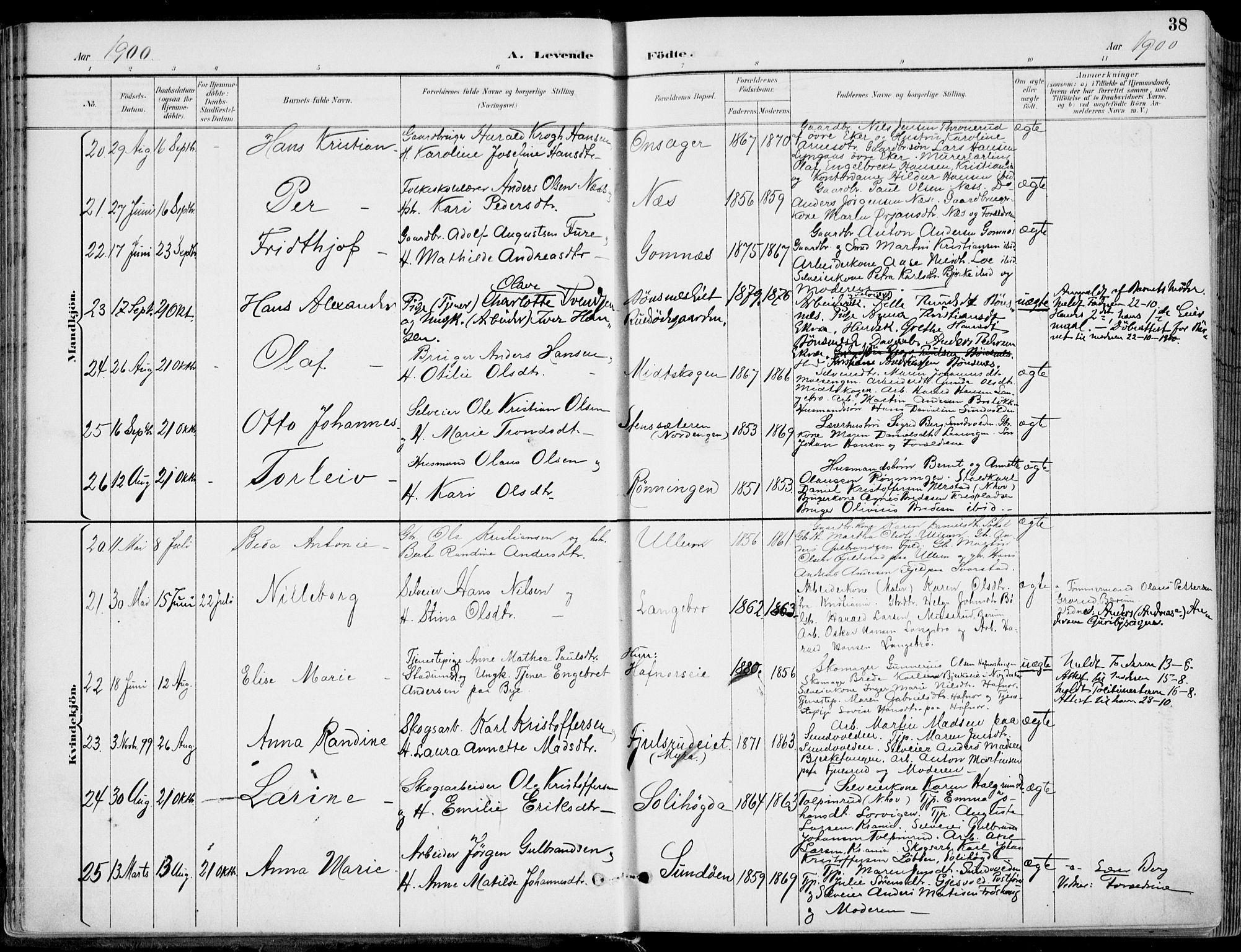 Hole kirkebøker, SAKO/A-228/F/Fa/L0009: Parish register (official) no. I 9, 1892-1907, p. 38