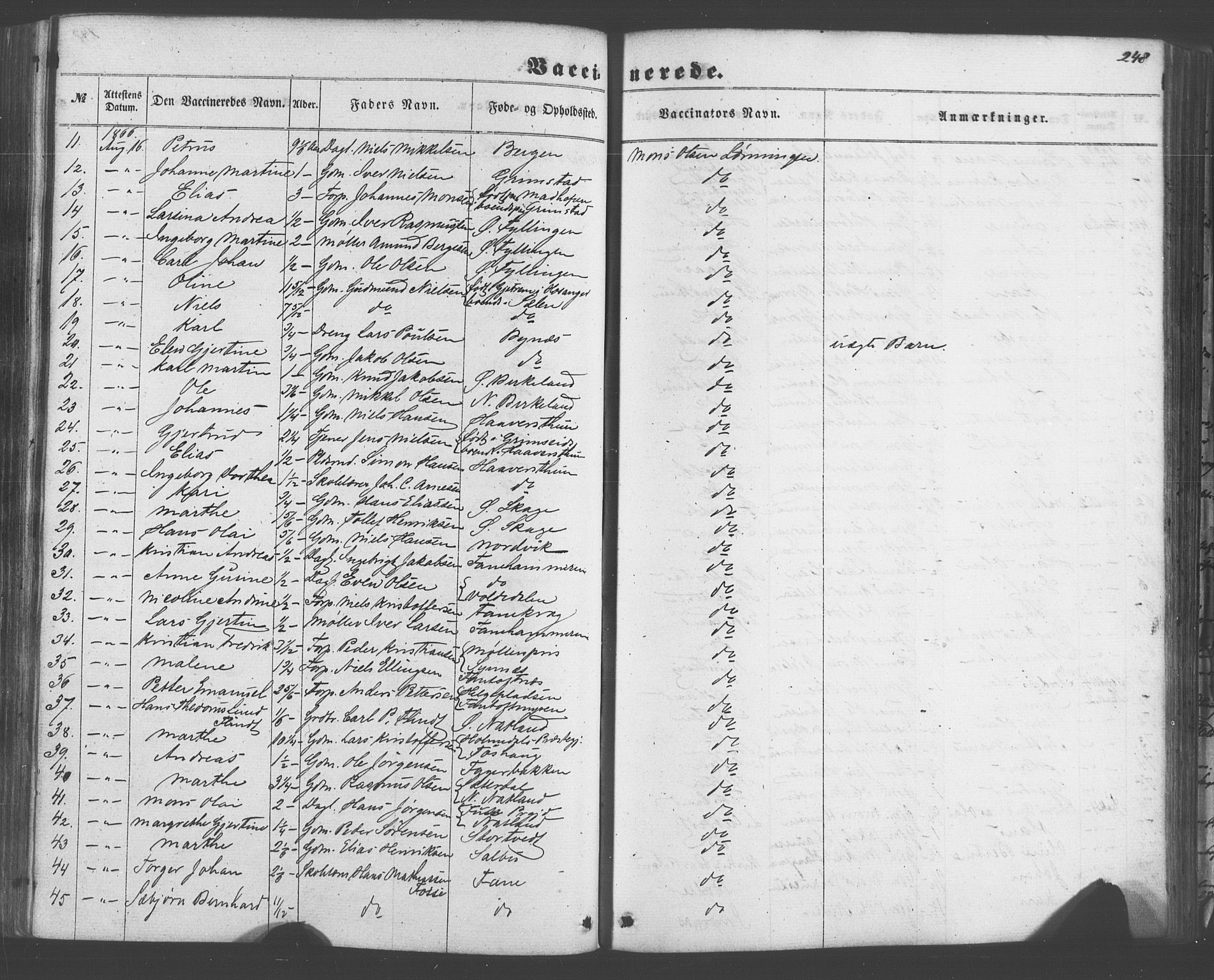 Fana Sokneprestembete, SAB/A-75101/H/Haa/Haaa/L0012: Parish register (official) no. A 12, 1862-1878, p. 248