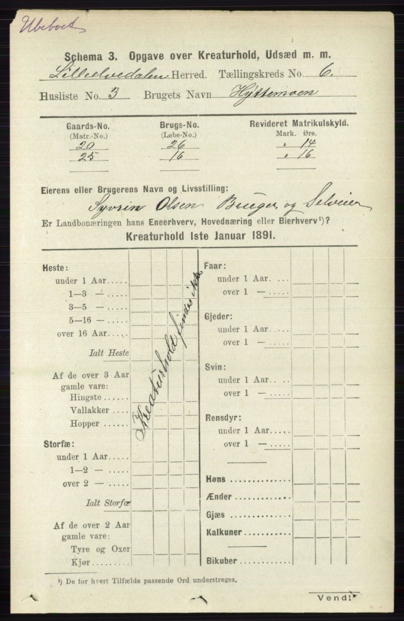 RA, 1891 census for 0438 Lille Elvedalen, 1891, p. 4372