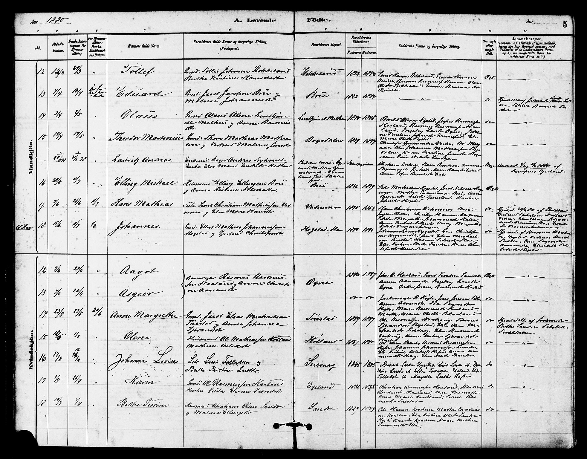 Eigersund sokneprestkontor, AV/SAST-A-101807/S08/L0016: Parish register (official) no. A 16, 1879-1893, p. 5