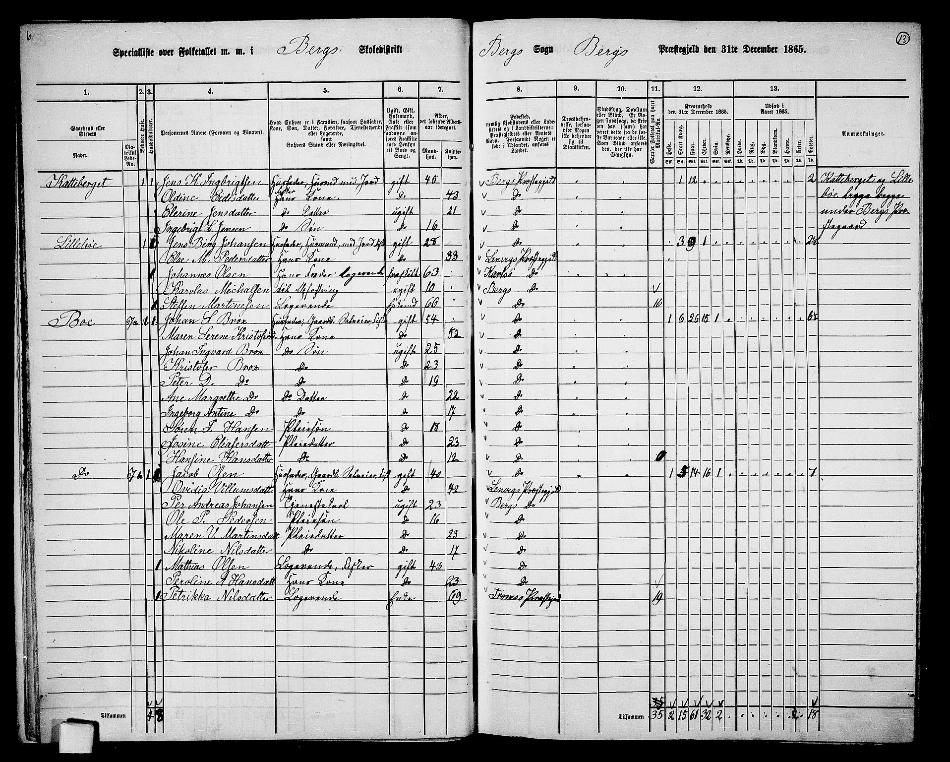 RA, 1865 census for Berg, 1865, p. 14