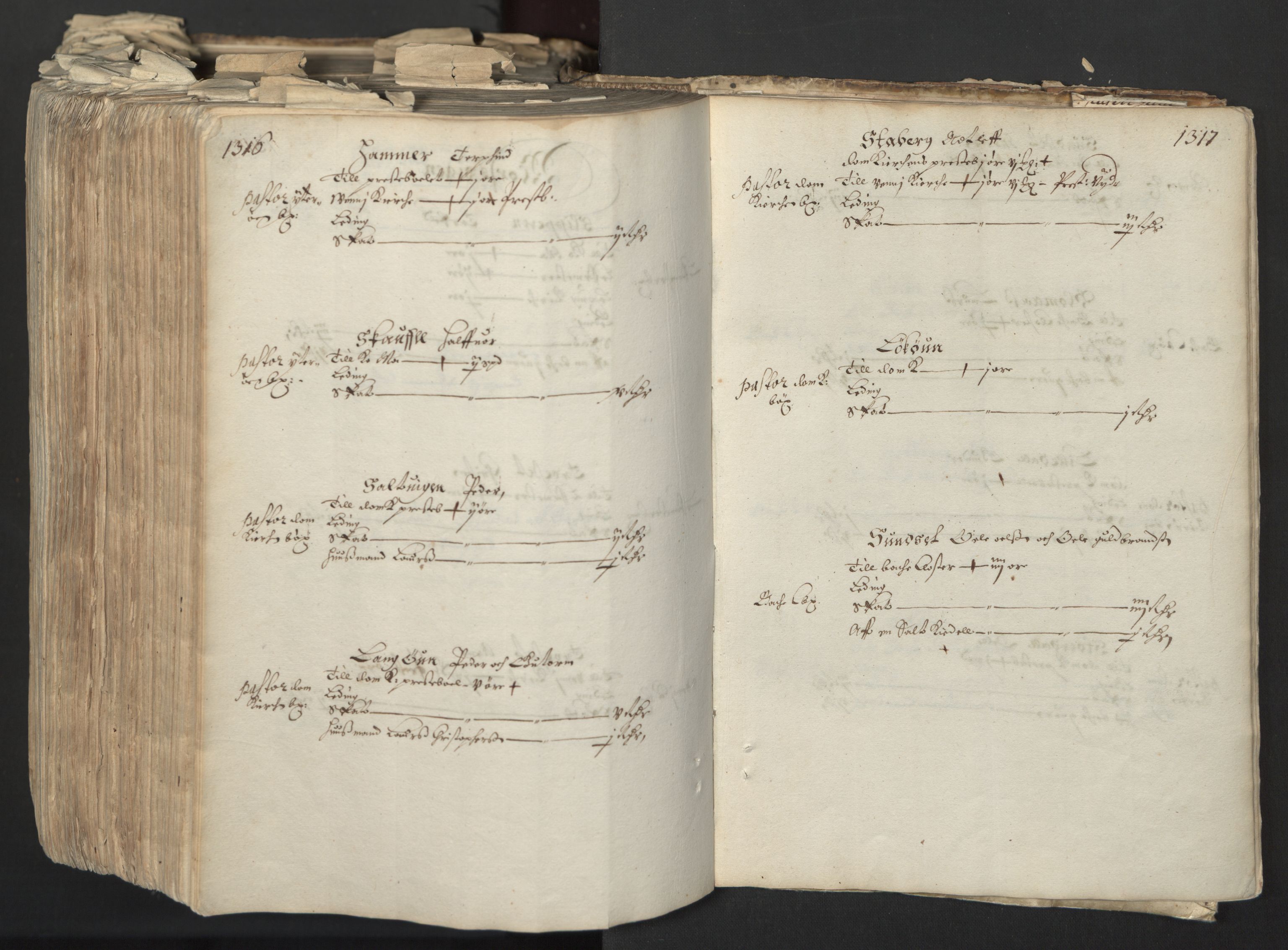 Rentekammeret inntil 1814, Realistisk ordnet avdeling, RA/EA-4070/L/L0027: Trondheim lagdømme:, 1661, p. 1316-1317