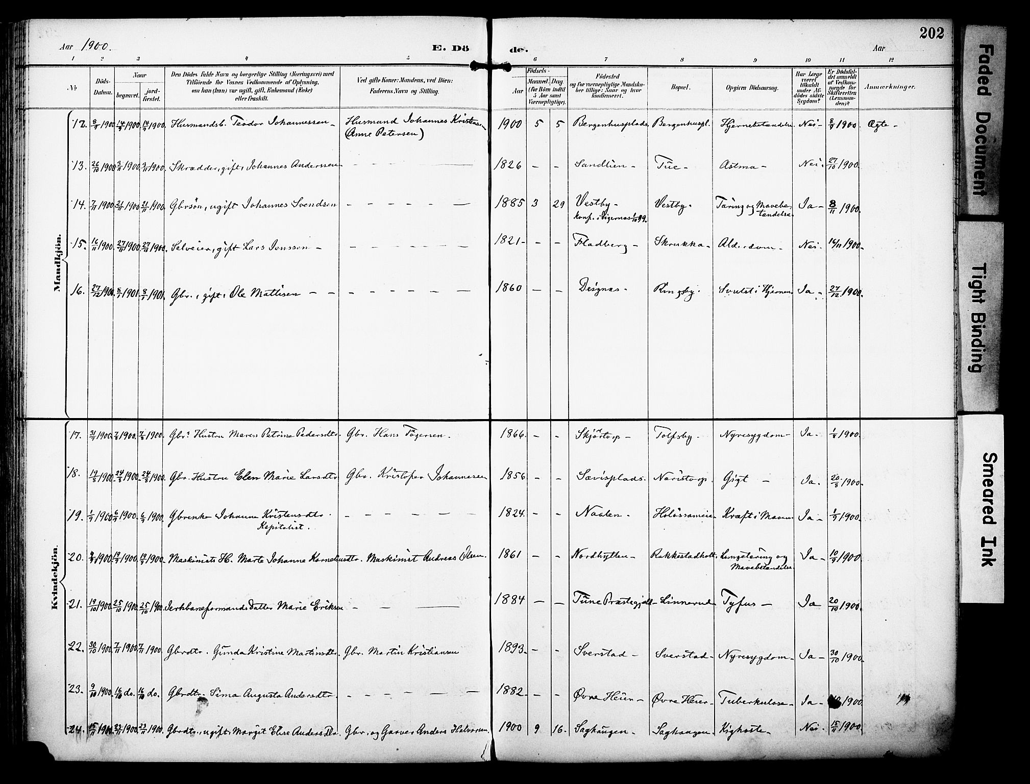 Rakkestad prestekontor Kirkebøker, AV/SAO-A-2008/F/Fa/L0013: Parish register (official) no. I 13, 1894-1908, p. 202