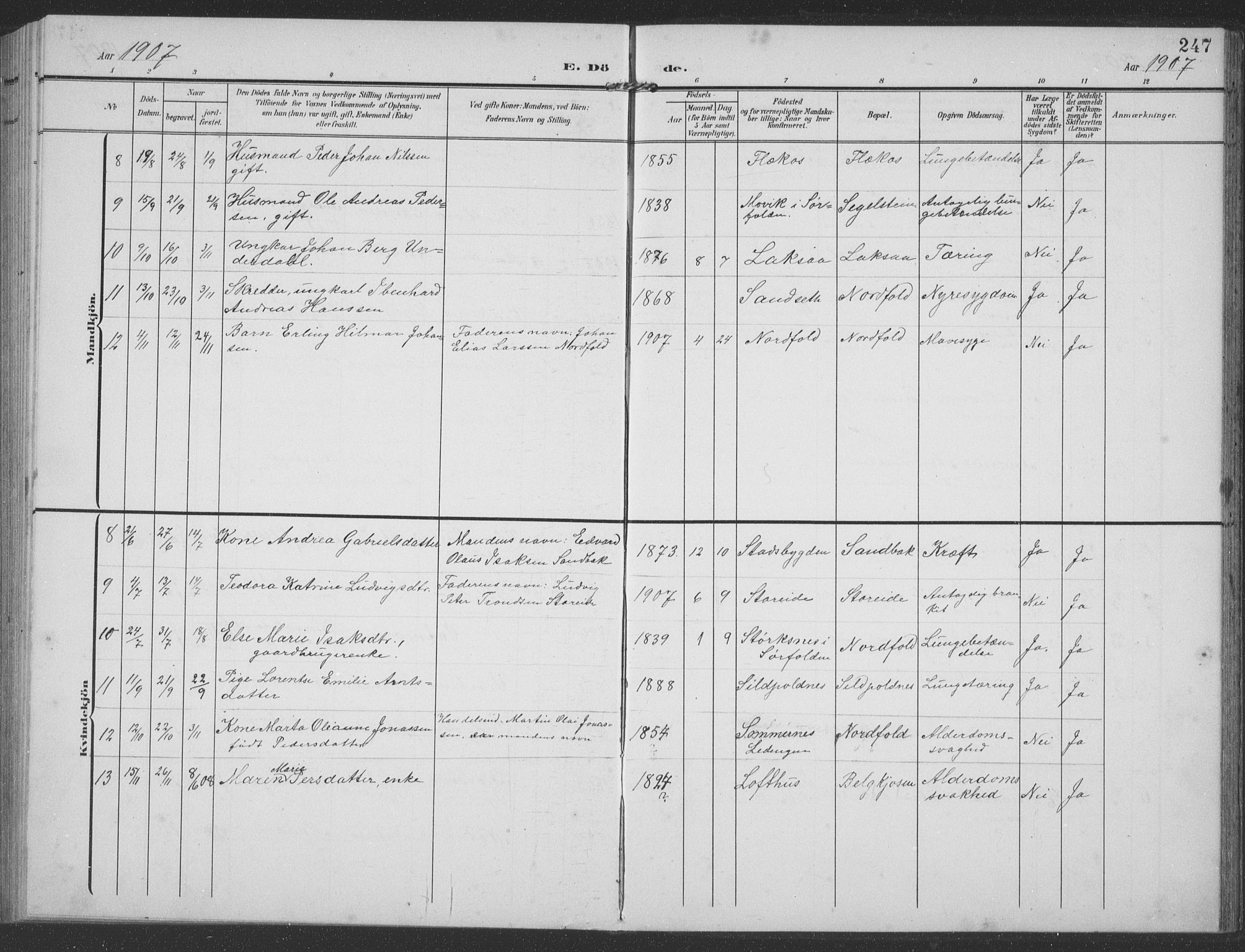 Ministerialprotokoller, klokkerbøker og fødselsregistre - Nordland, AV/SAT-A-1459/858/L0835: Parish register (copy) no. 858C02, 1904-1940, p. 247