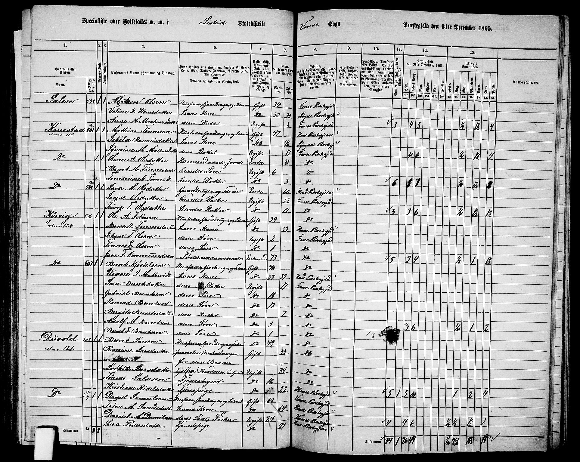 RA, 1865 census for Vanse/Vanse og Farsund, 1865, p. 180