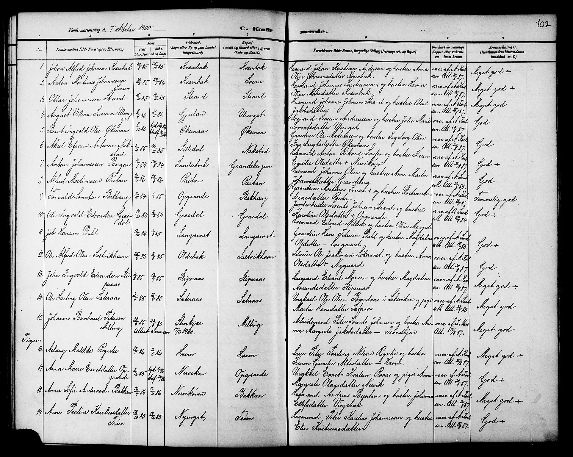 Ministerialprotokoller, klokkerbøker og fødselsregistre - Nord-Trøndelag, SAT/A-1458/733/L0327: Parish register (copy) no. 733C02, 1888-1918, p. 102