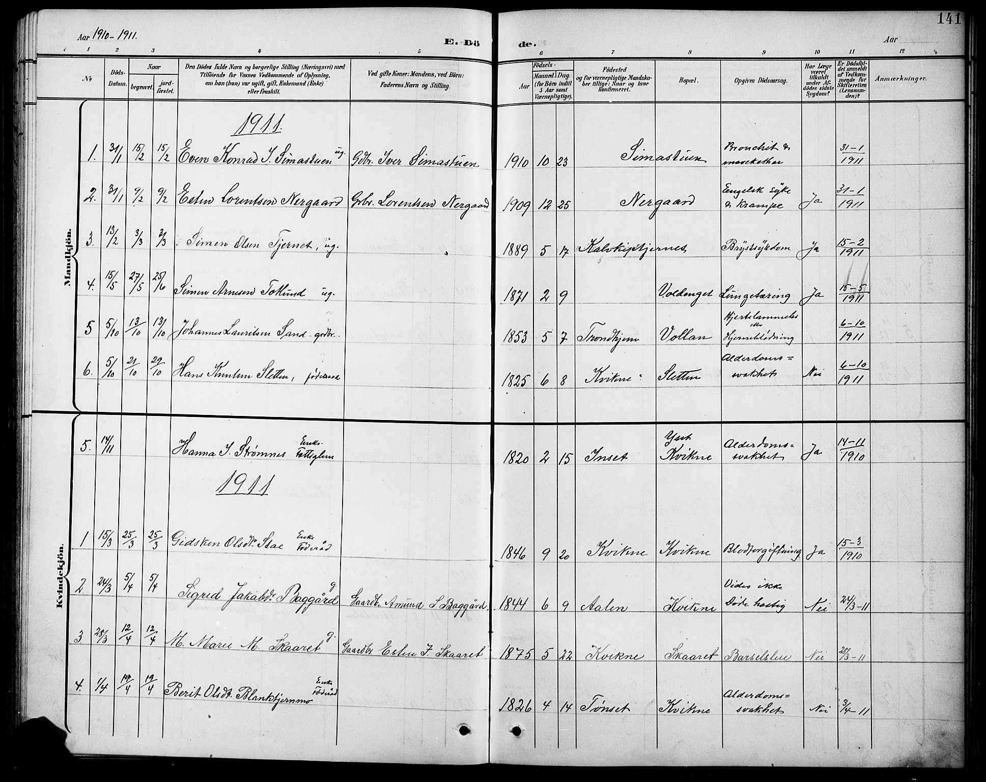 Kvikne prestekontor, SAH/PREST-064/H/Ha/Hab/L0003: Parish register (copy) no. 3, 1896-1918, p. 141