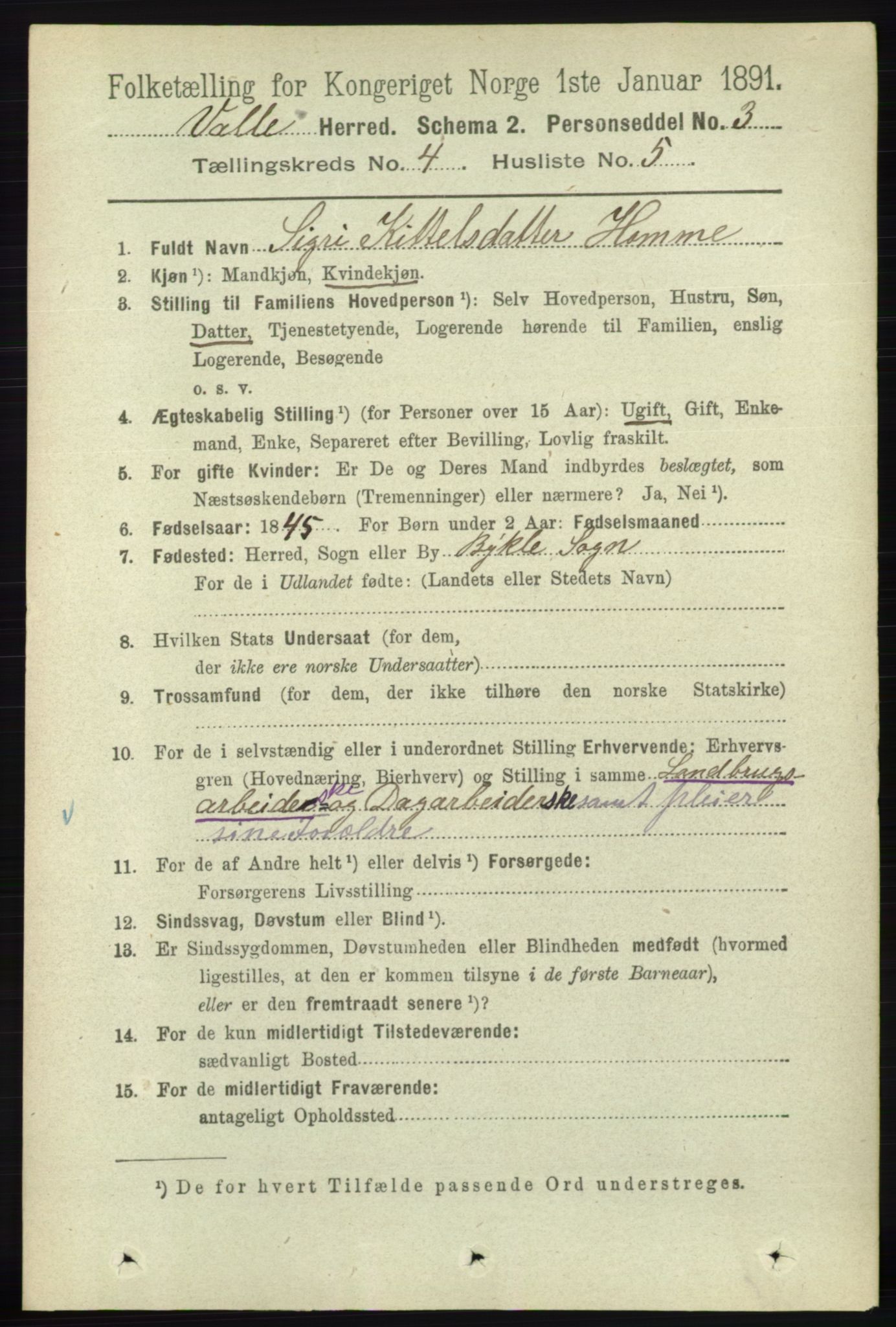 RA, 1891 census for 0940 Valle, 1891, p. 1019